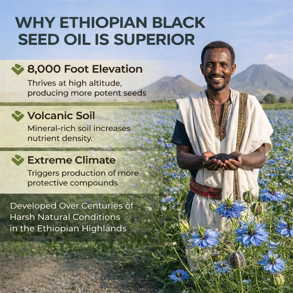 Ethiopian Black Seed Oil Softgels |4.64% Thymoquinone |Gluten-Free, 60 capsules