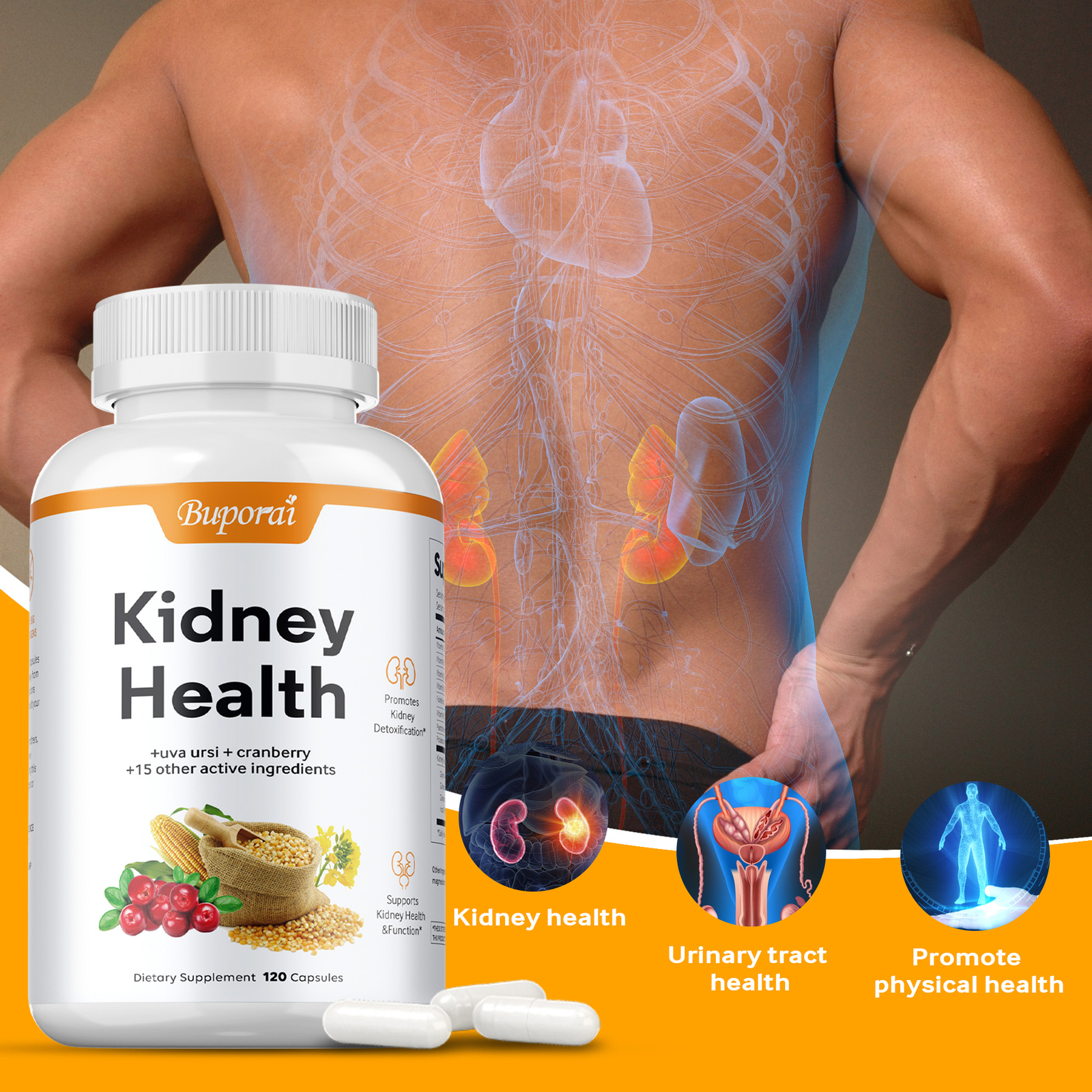 Kidney Health – Kidney Support, Detox & Repair, Urinary Tract Health & Bladder
