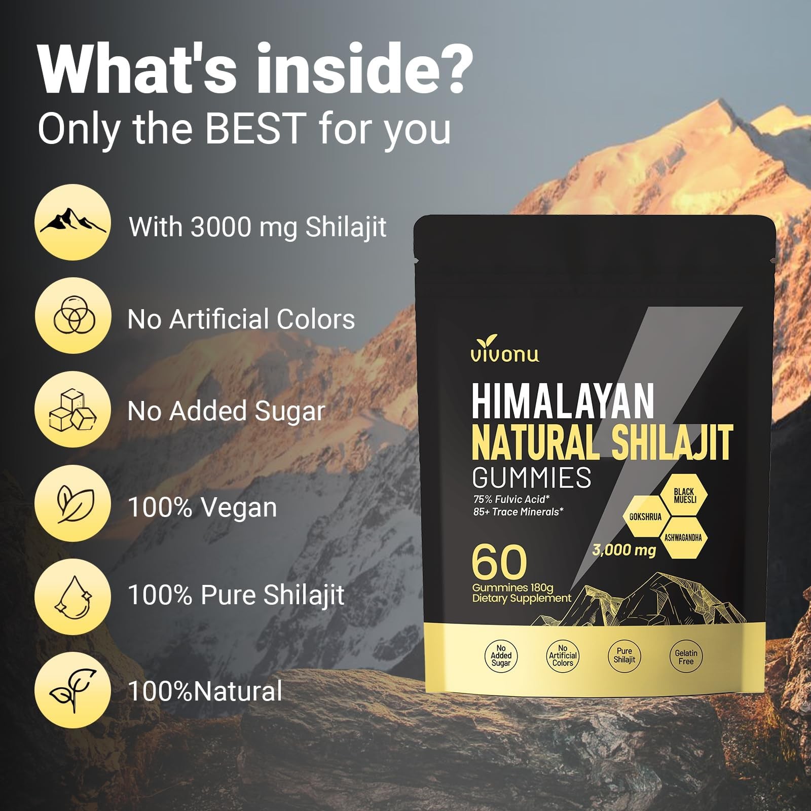 Himalayan Shilajit Gummies with 60 Count (Pack of 1), 1 Bag / 60