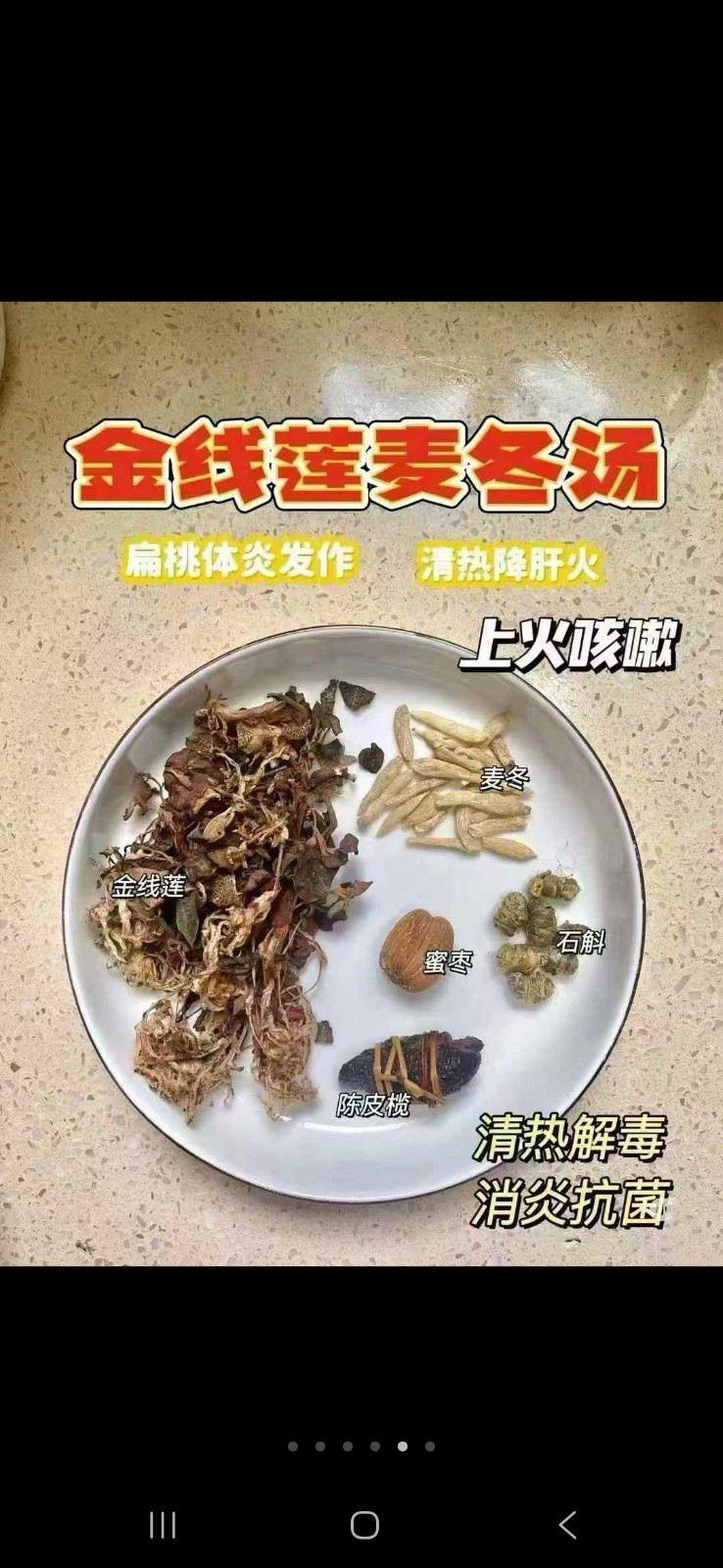 金线莲Jin Xian Lian 500g