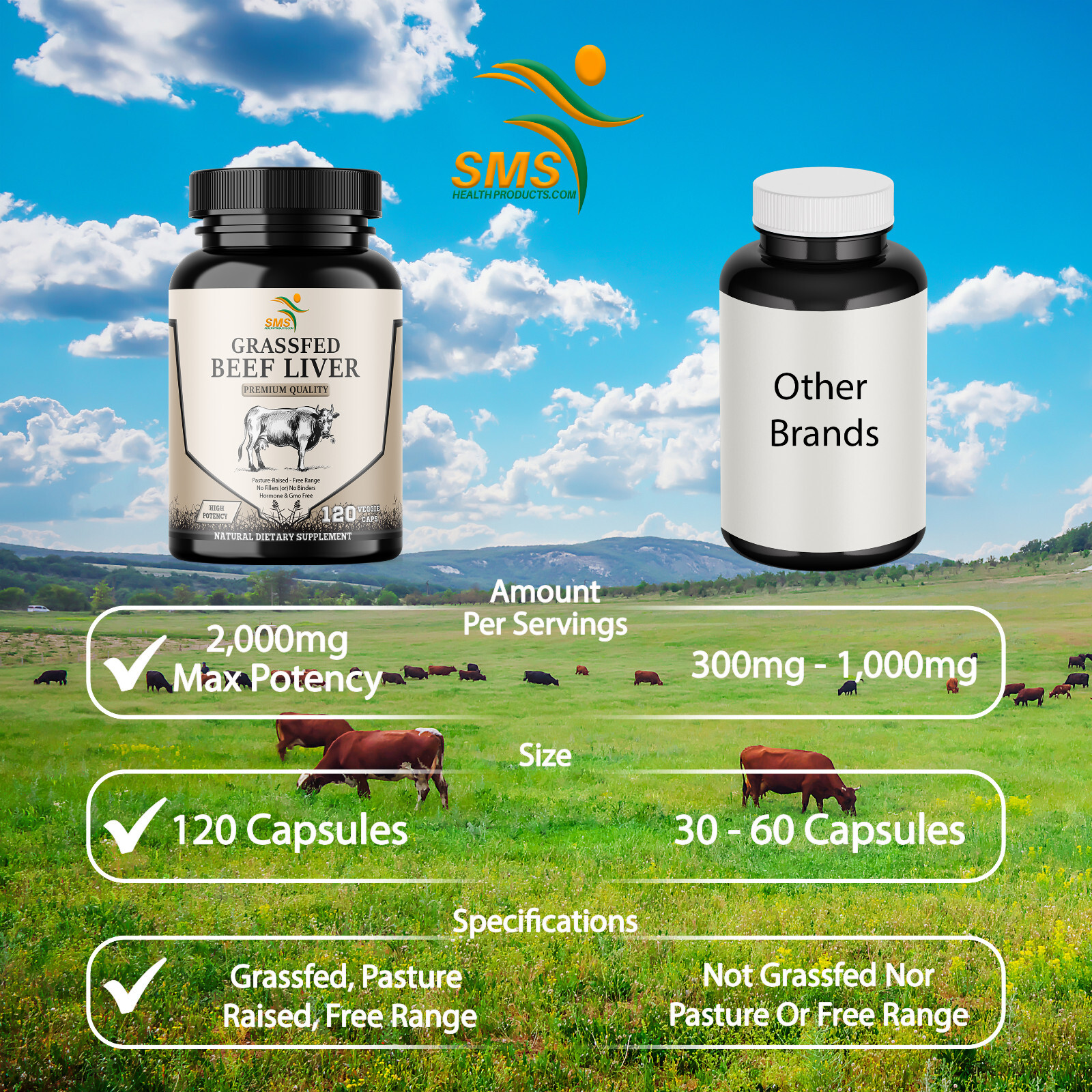 Desiccated Beef Liver Capsules, 100% Grass Fed Undefatted (3 Pack) 360 Capsules