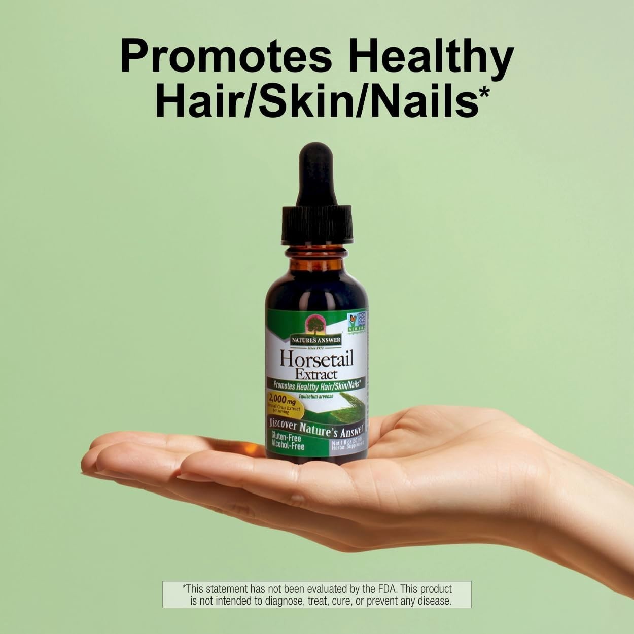 Super Concentrated Horsetail Herb | Gluten-Free & Alcohol-Free | 30 Servings