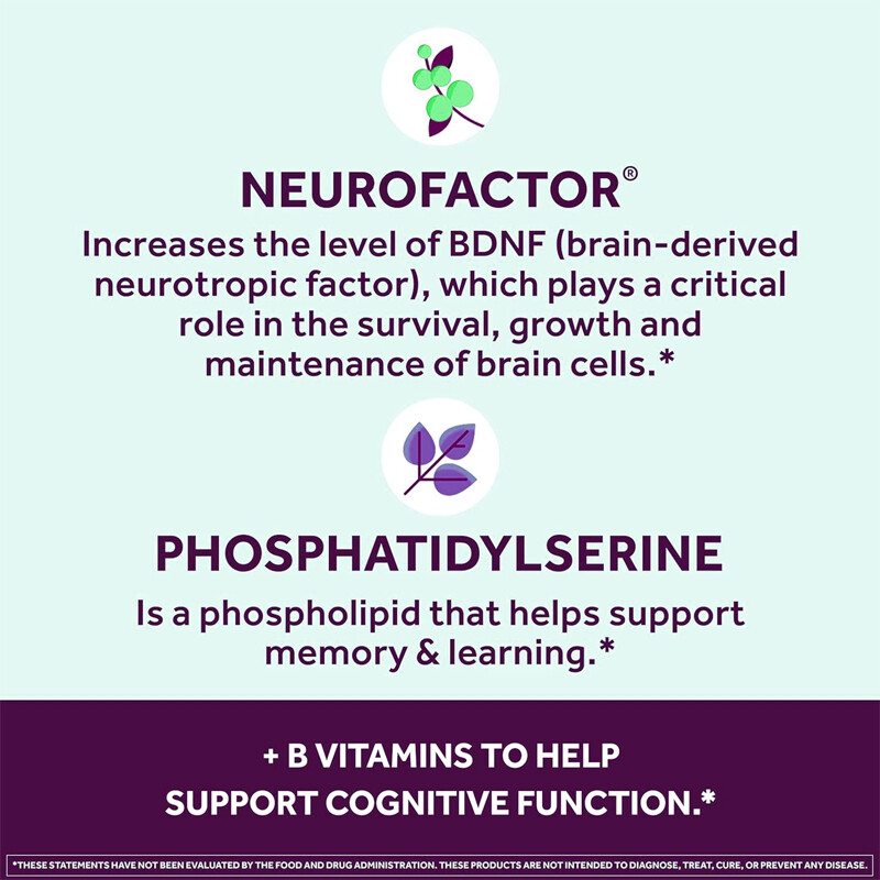 Brain Health – with Phosphatidylserine – Memory Enhancement, Cognitive Health