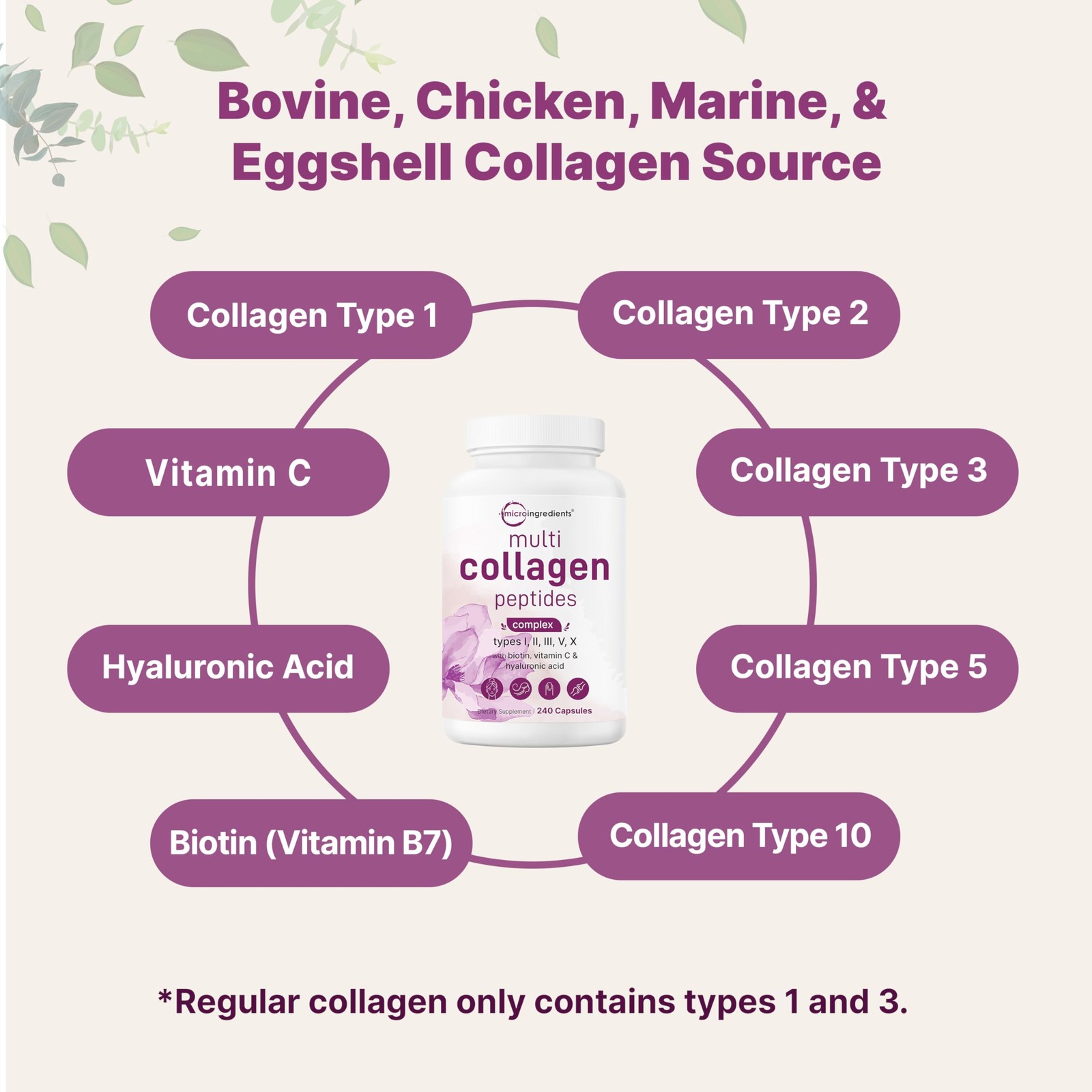Micro Ingredients 2 Pack Multi Collagen Pills for Women 240 Count (Pack of 2)