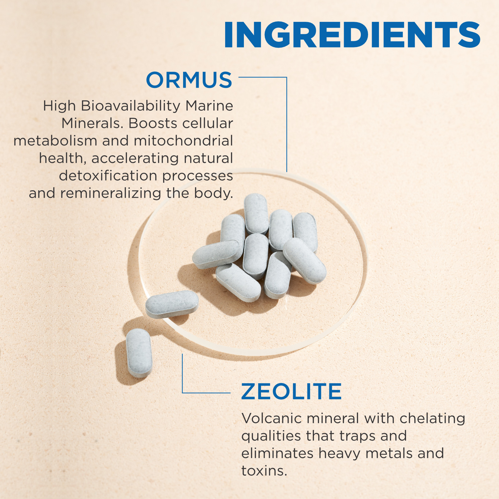 DETOX TABLET W ORMUS,ZEOLITE,SHUNGITE &ACTIVATED CHARCOAL-ELIMINATES HEAVY METAL