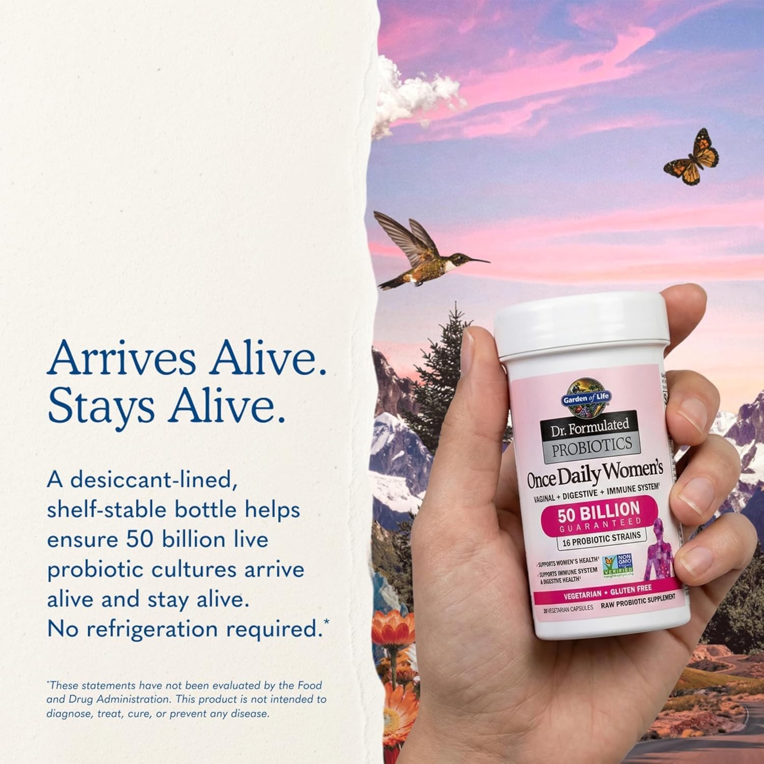 Once Daily Women’s Probiotics with Organic Prebiotics – 50 Billion CFU Formula