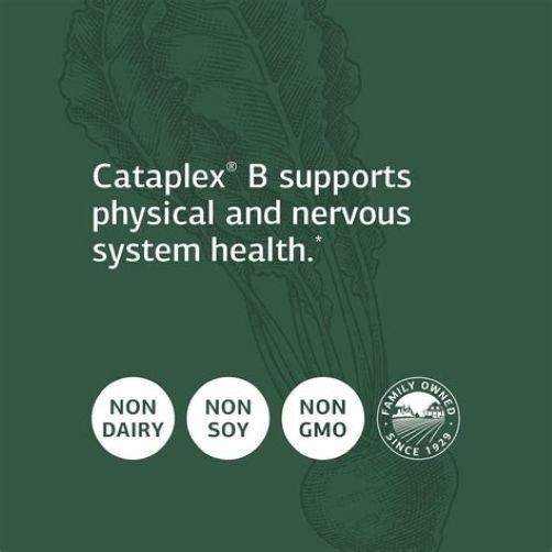 Standard Process Cataplex B Whole Food Formula, 360 Tablets | Exp 2/23/2024