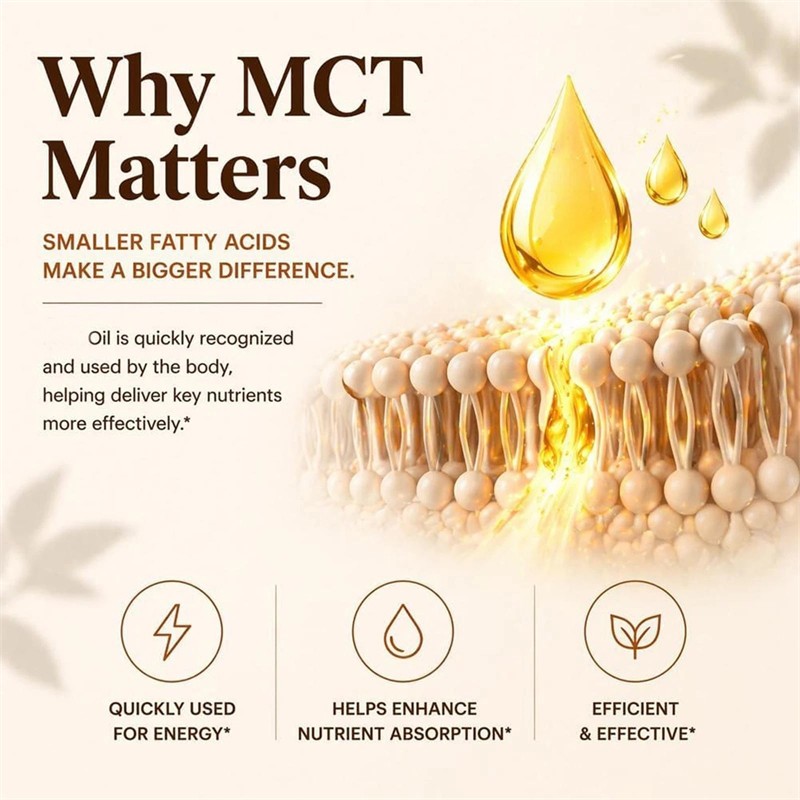 3x Metabolae Cinnamon MCT Oil Softgels, Non-GMO, Gluten Free, 300 Softgels