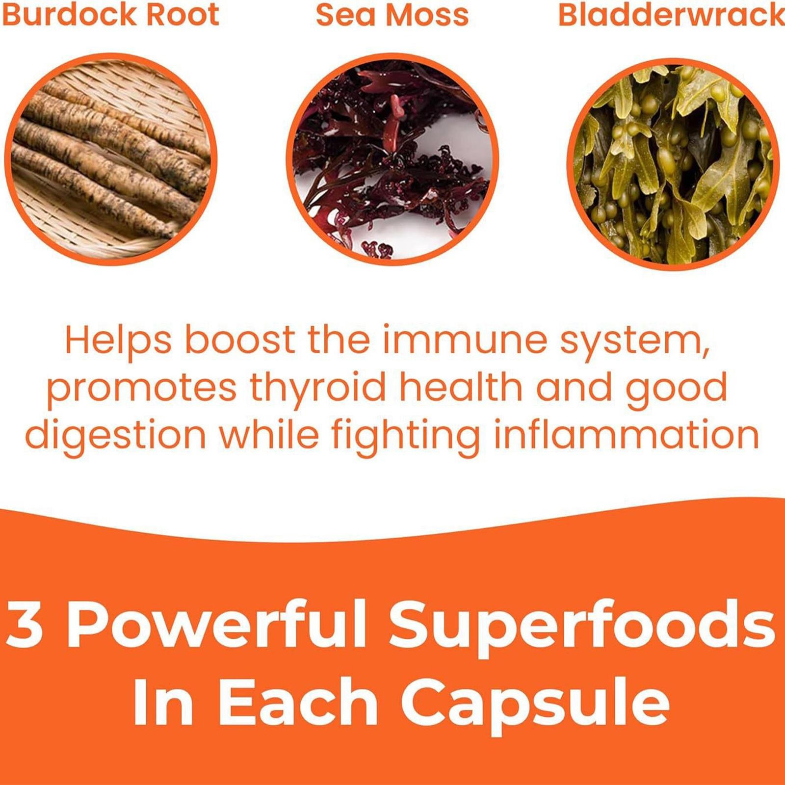 1250mg Sea Moss Advanced Superfood, High-Potency, Vegan – 60 Count