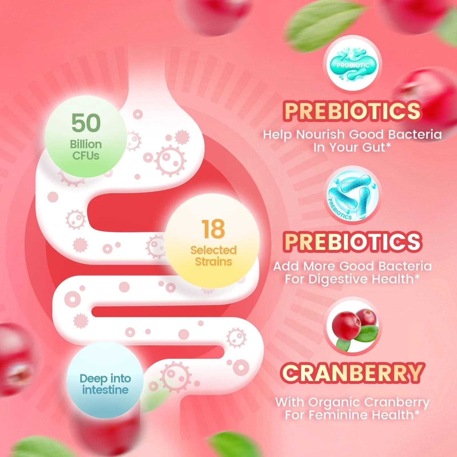 3PCS VivoNu Vaginal Probiotic Gummies Women pH Balance Yeast Flora Cranberry NEW
