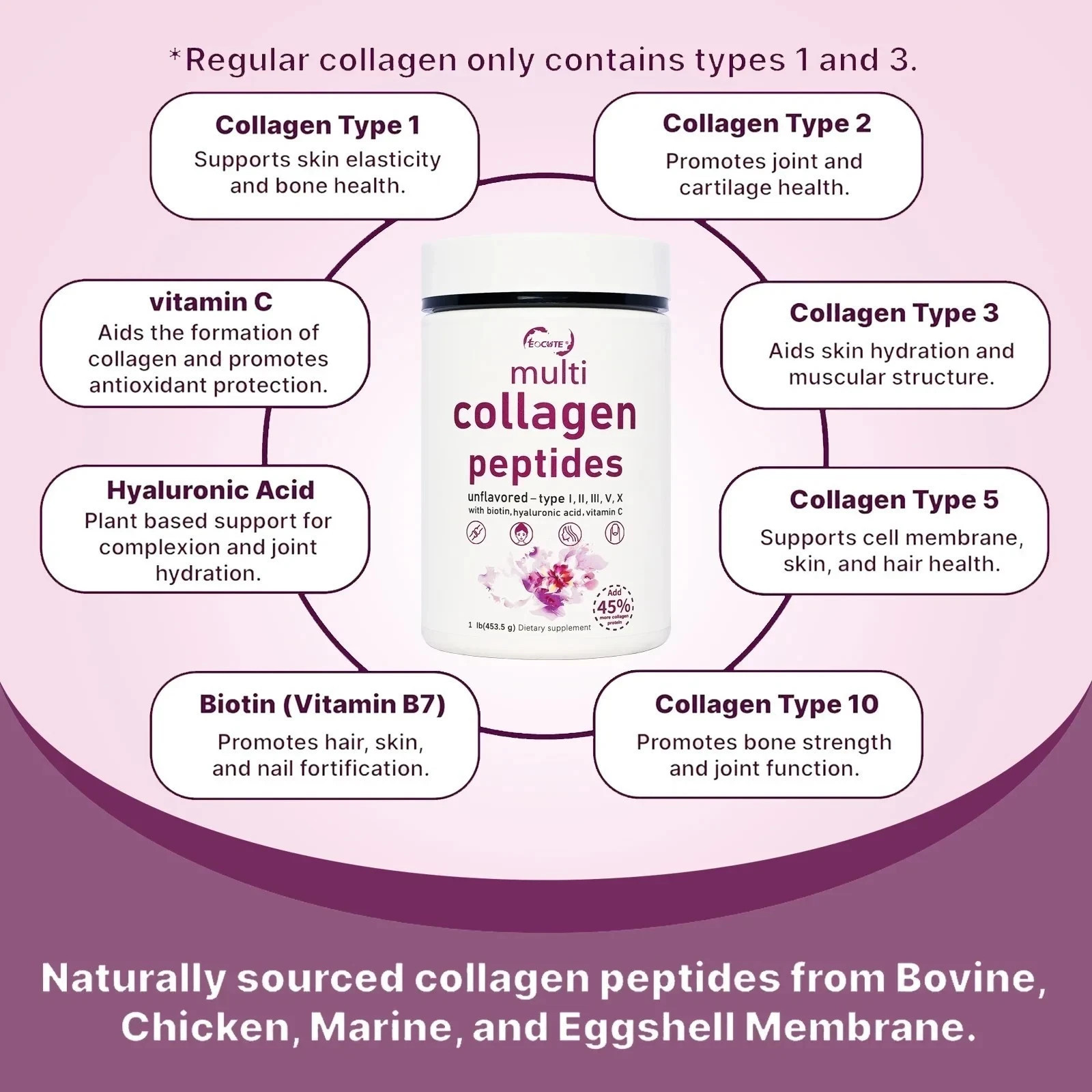 1LB Multi Collagen Peptides Powder–Hydrolyzed Protein with Type I, II, III, V, X