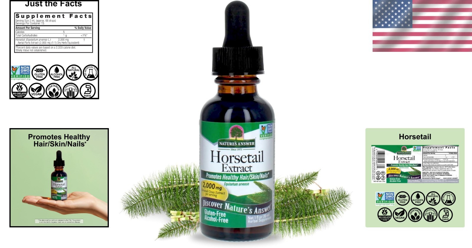 Super Concentrated Horsetail Herb | Gluten-Free & Alcohol-Free | 30 Servings