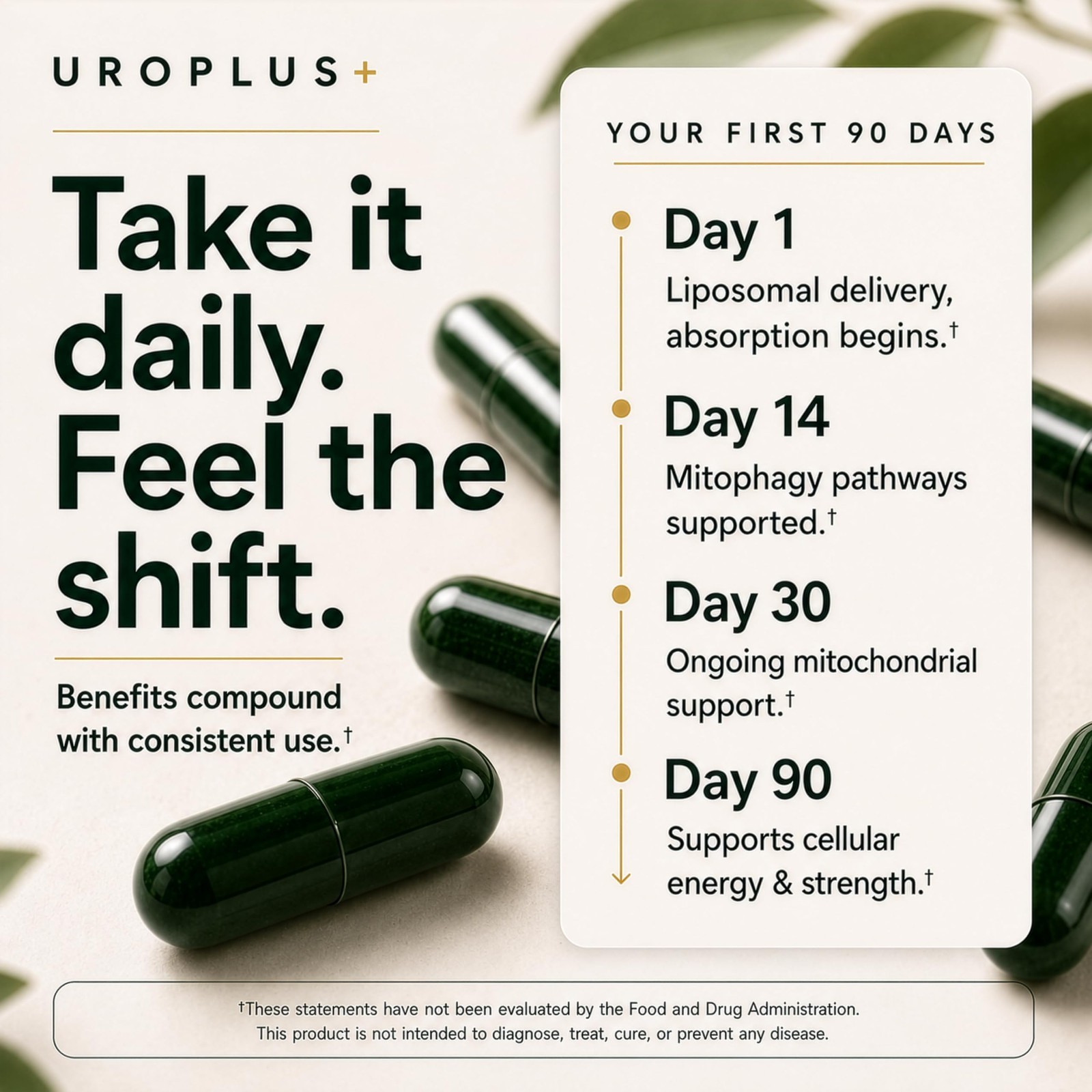 Liposomal Urolithin A 1250mg Complex | NAD+, NMD, Resveratrol | Energy, Cellular