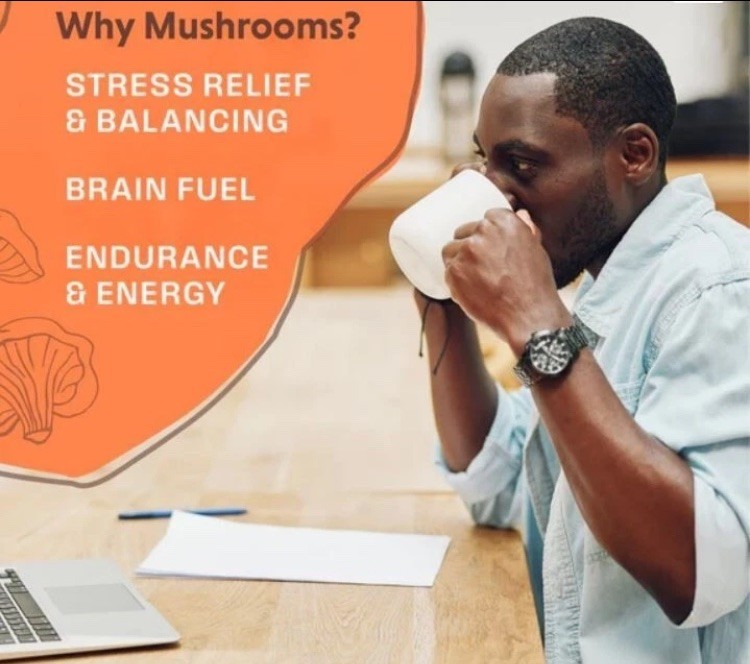 NEW Shroomology™ Full Spectrum Mushroom Coffee Dark Roast 5 Oz Non -GMO & GF