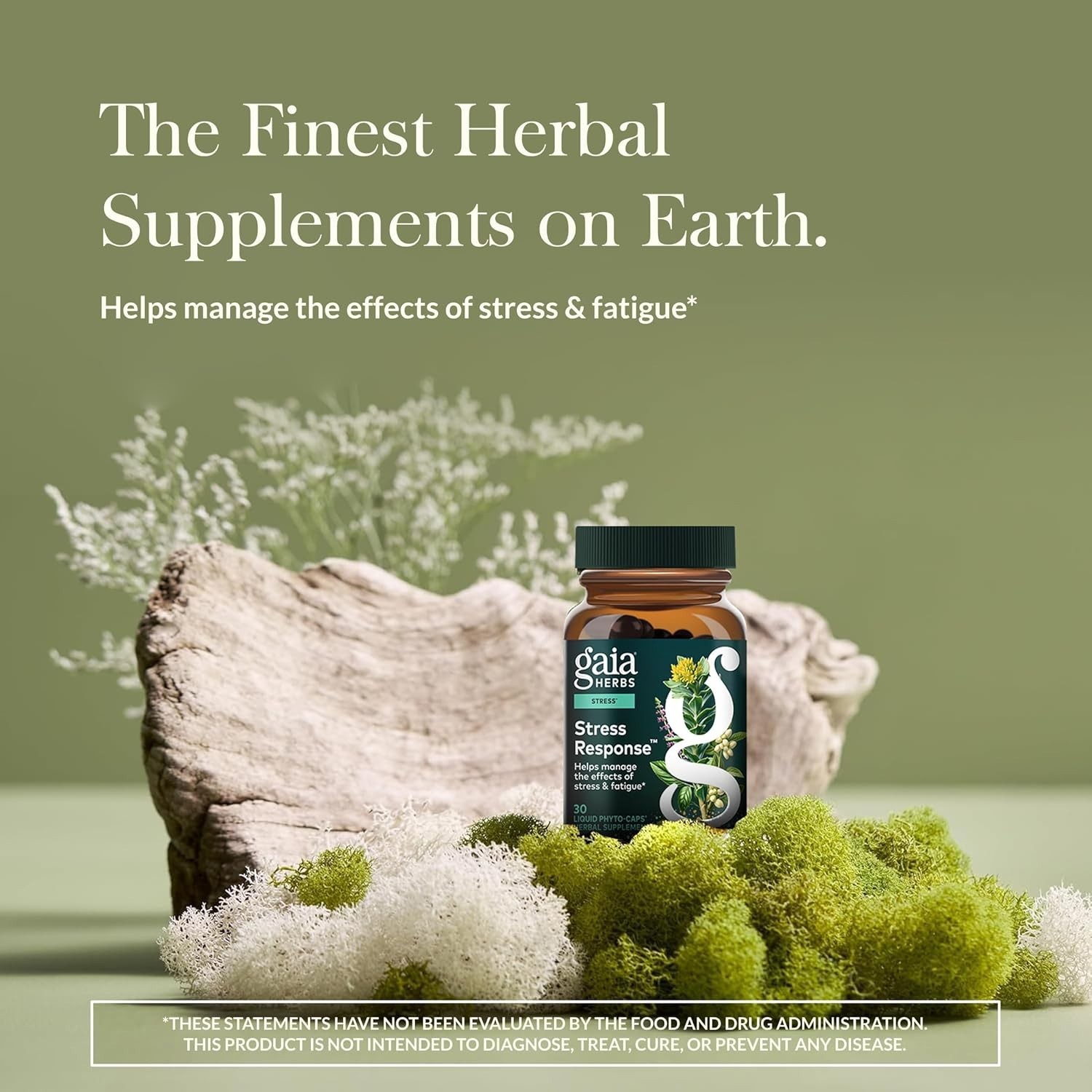Energizing Herbal Stress Response with Rhodiola, Perfect for Daily Use | 30 Caps