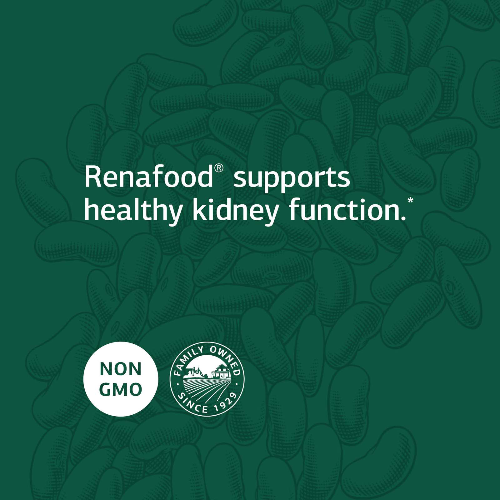 Standard Process Renafood Whole Food Kidney Health Supplement, 180 Tablets