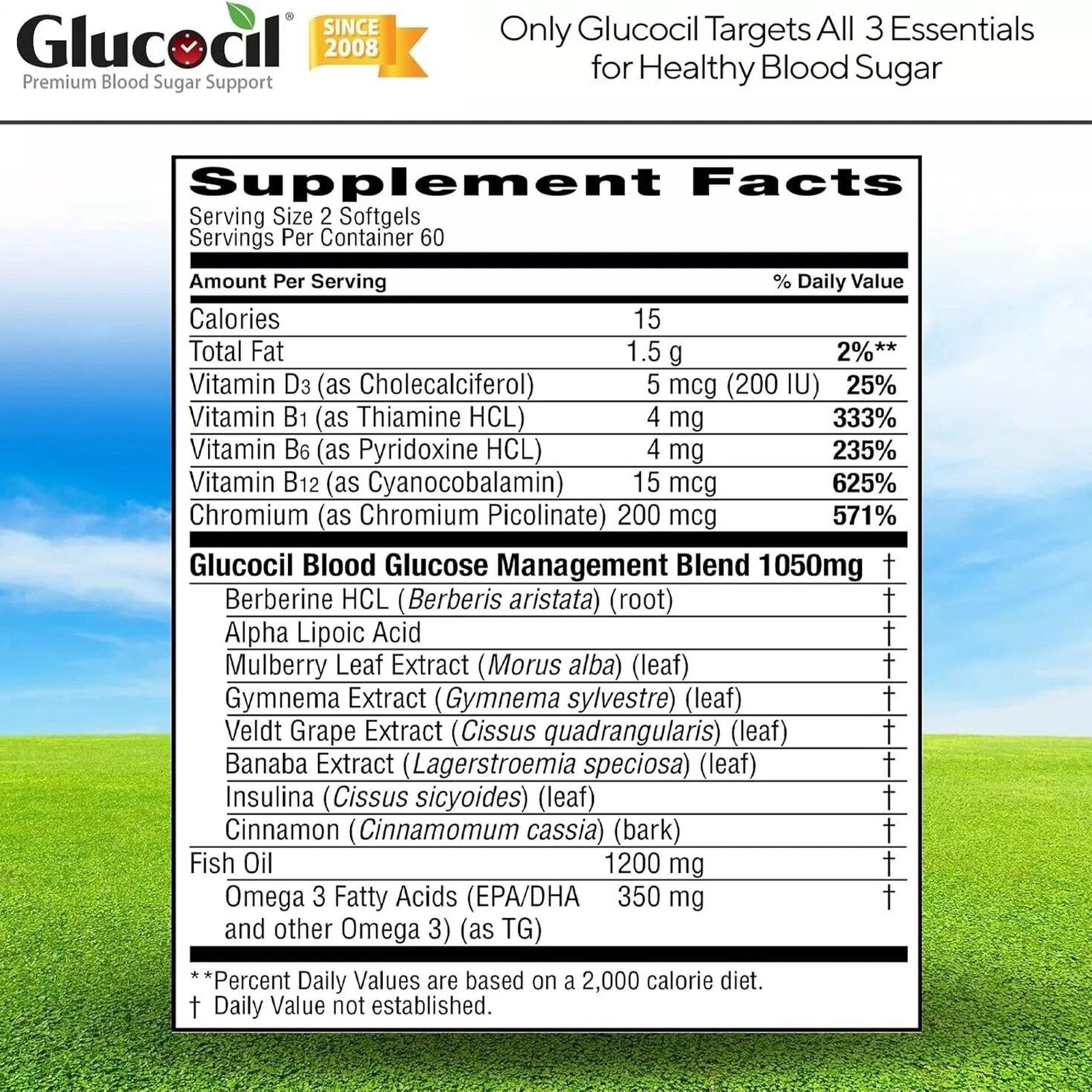 30-Day Supply 120CT Top-Quality Blood Sugar Support