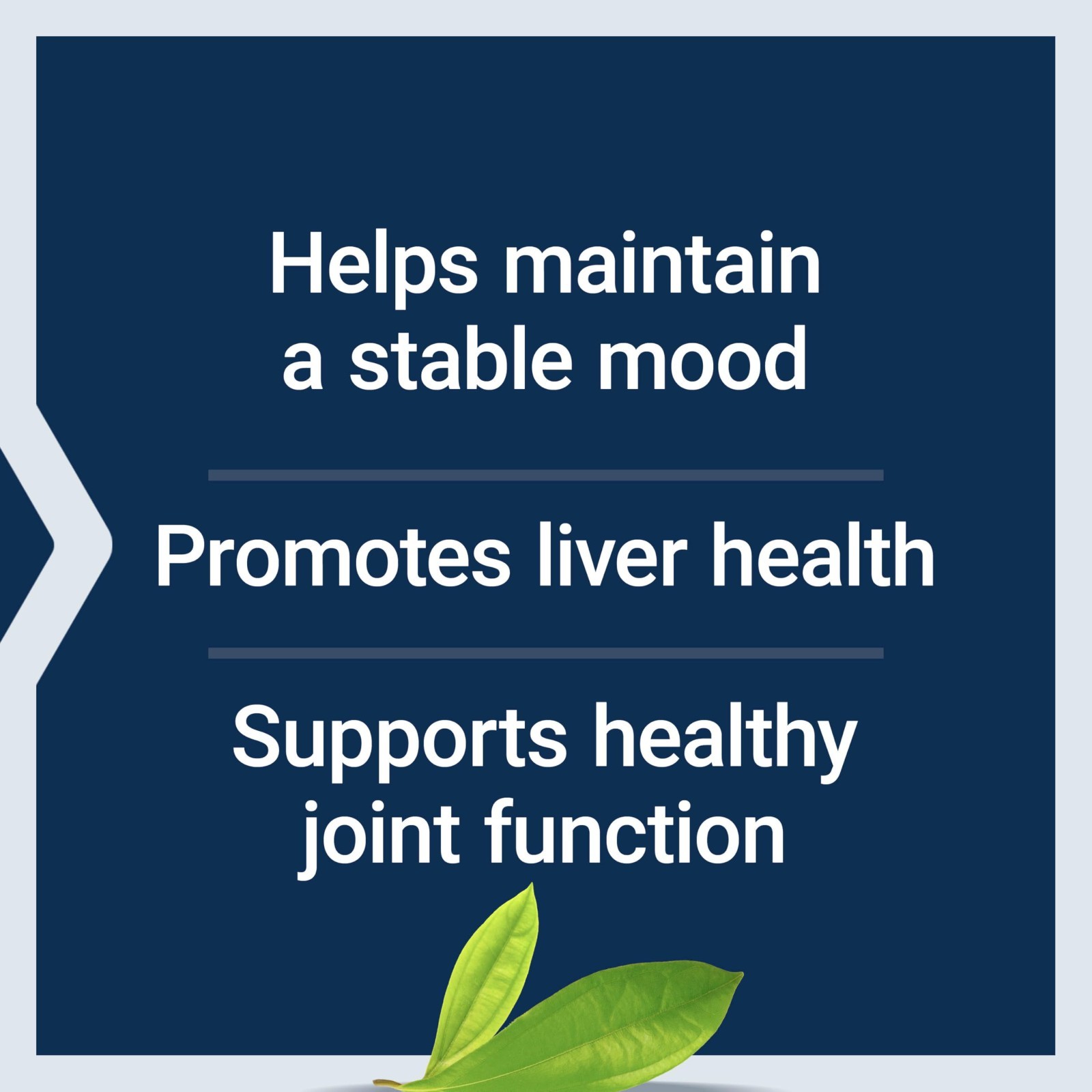 Mood & Joint Support Tablets – 30 Count | Liver Health, Gluten-Free, Non-GMO, Ve