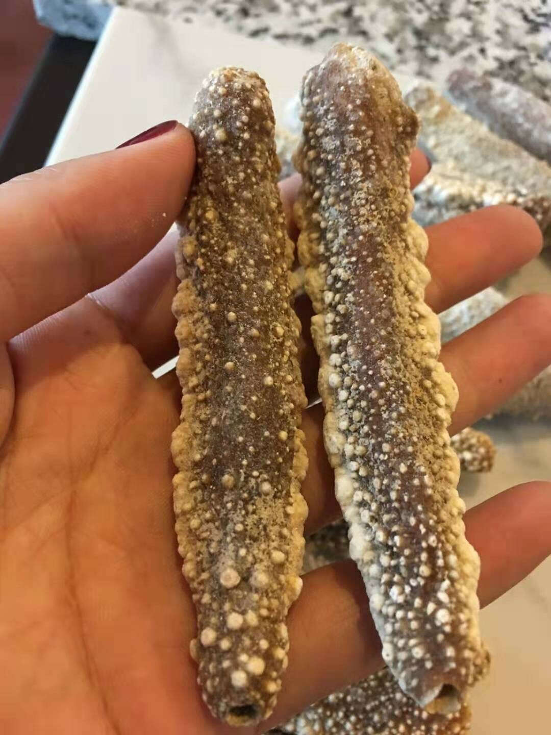 淡干野生白玉参 1 磅 小号,每磅55-60头Naturally Dried White Sea Cucumber 1 lb (Small 55-60/Lbs