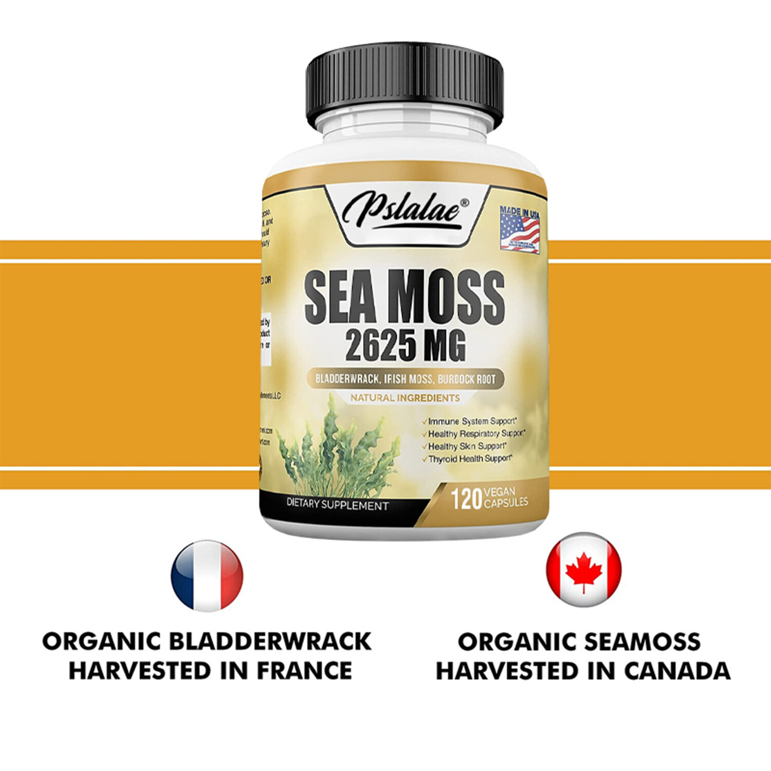 Sea Moss Capsules-Irish Moss,Bladderwrack,Burdock Root-Immune & Thyroid Support
