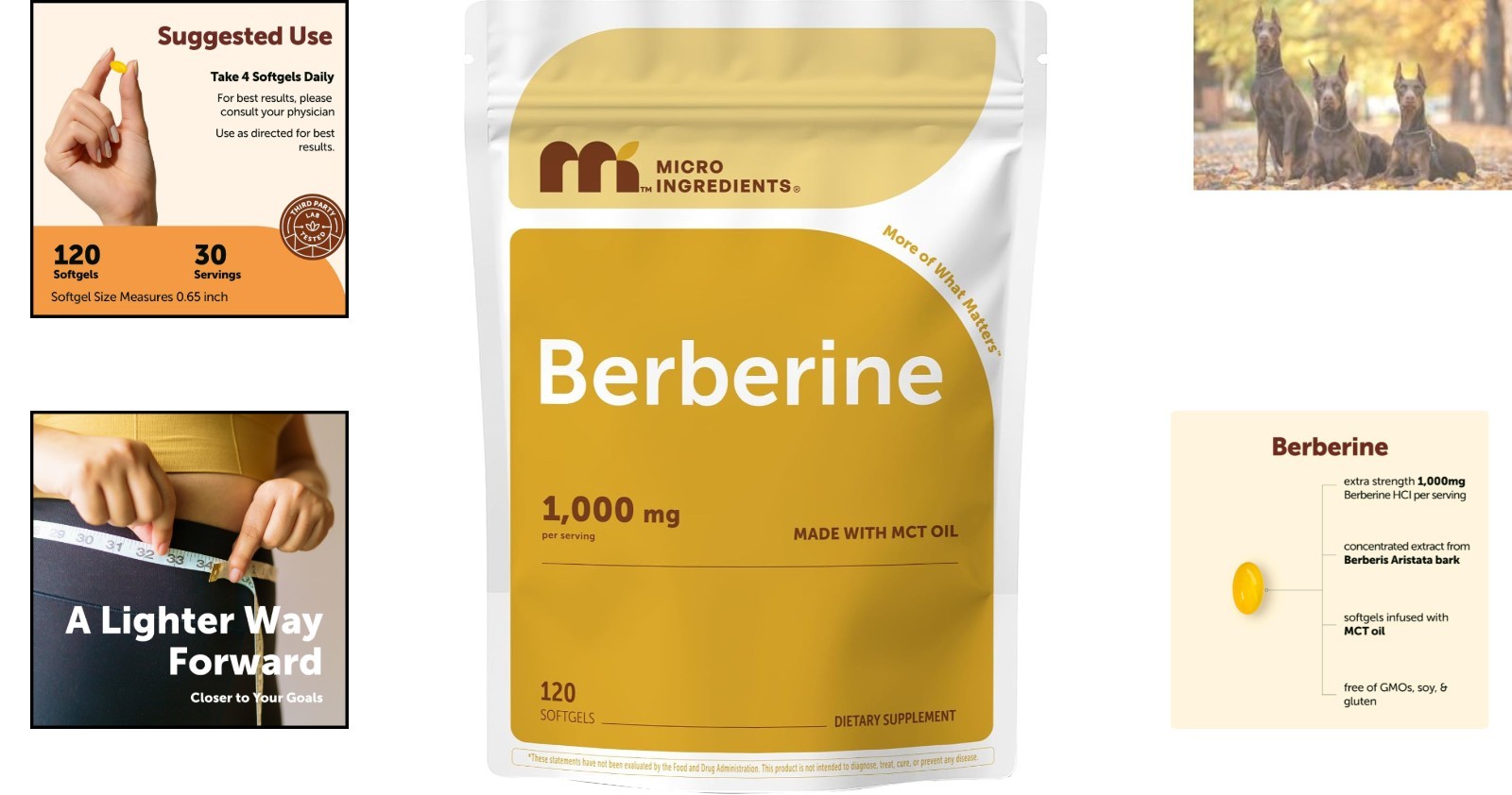 120 Easy-to-Swallow Berberine 1000mg Softgels with MCT Oil – Gluten Free