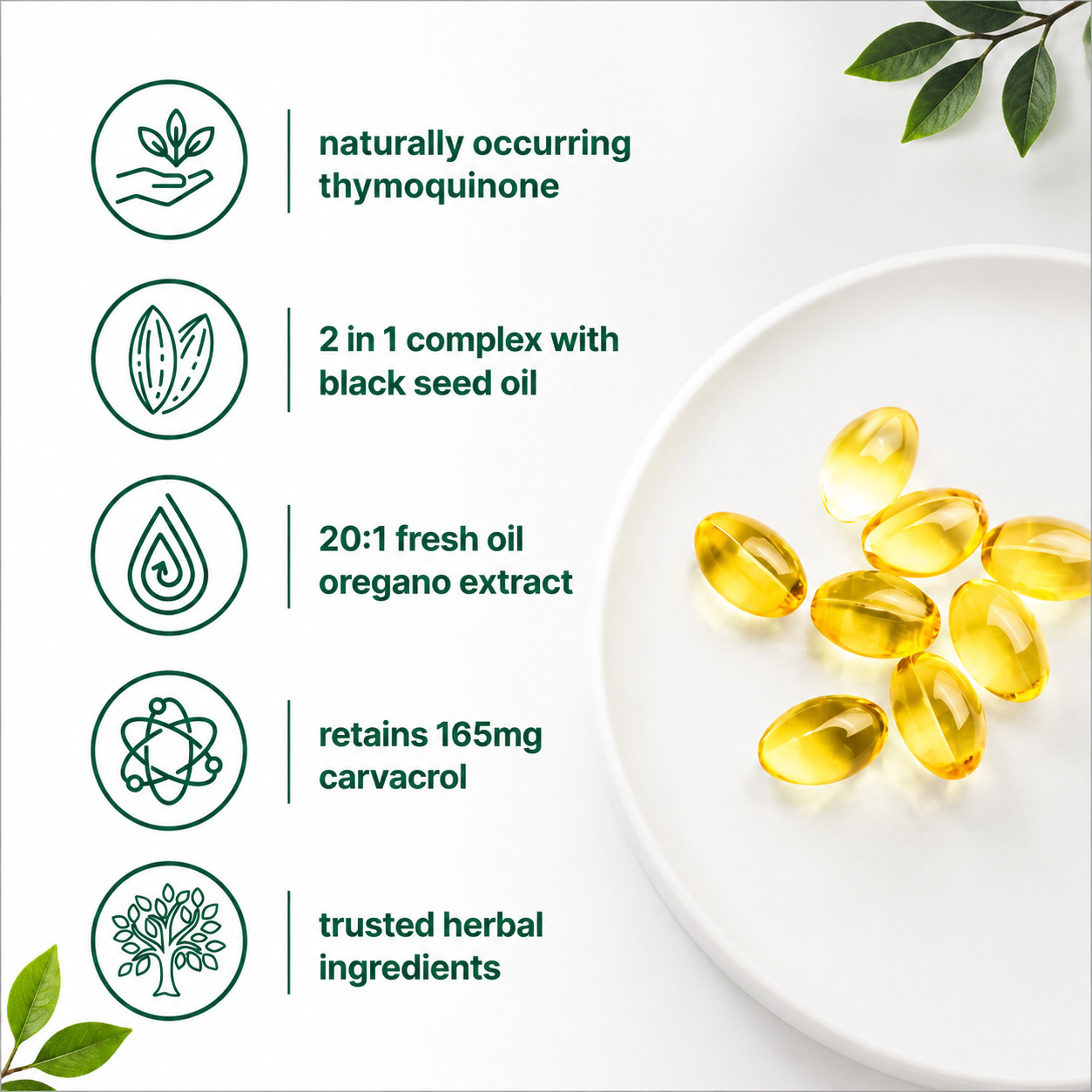 Micro Ingredients Oil of Oregano with Black Seed Oil 6000mg Immune Support 300ct