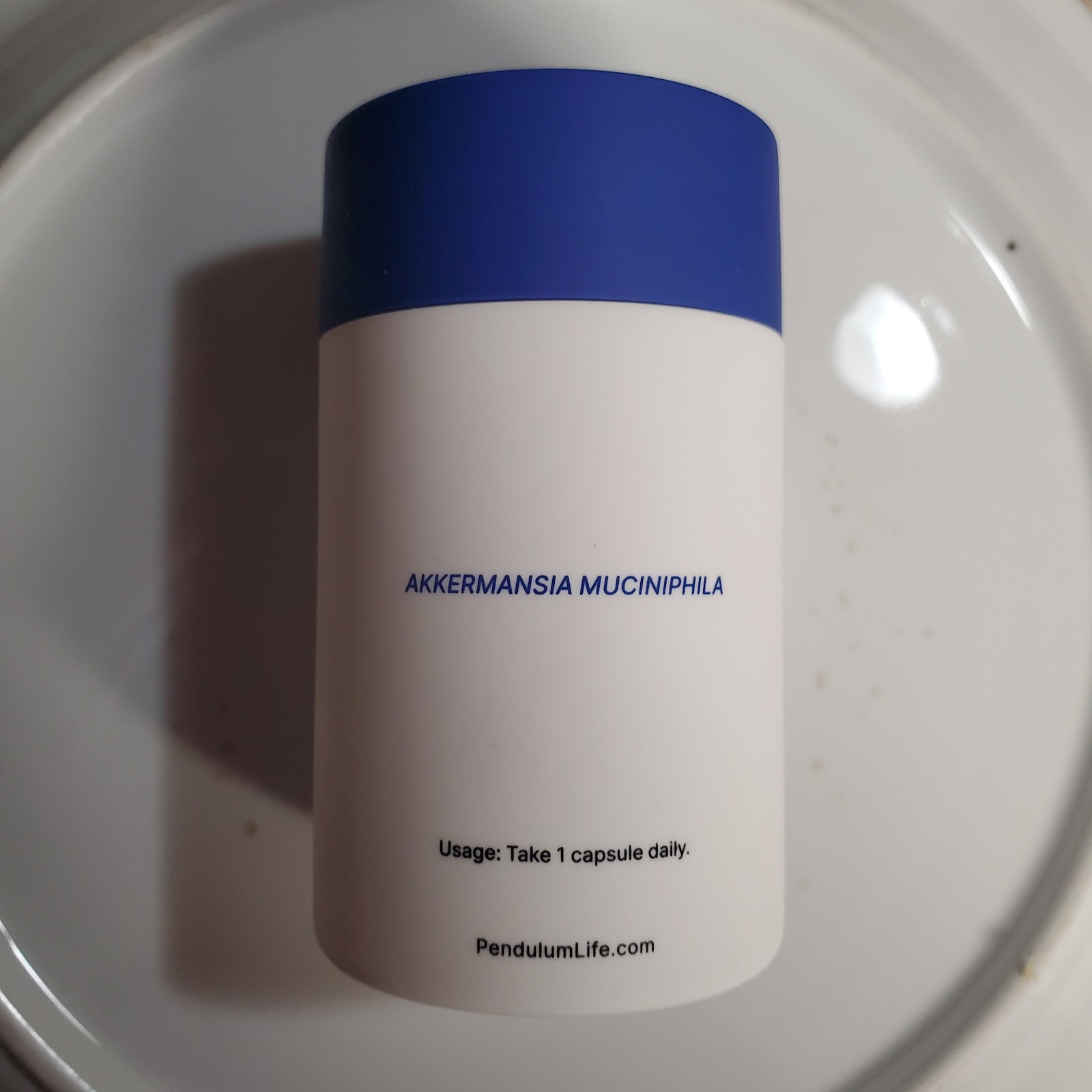 Pendulum Akkermansia 30 Capsules EXP 02/2028 Replenish keystone strain