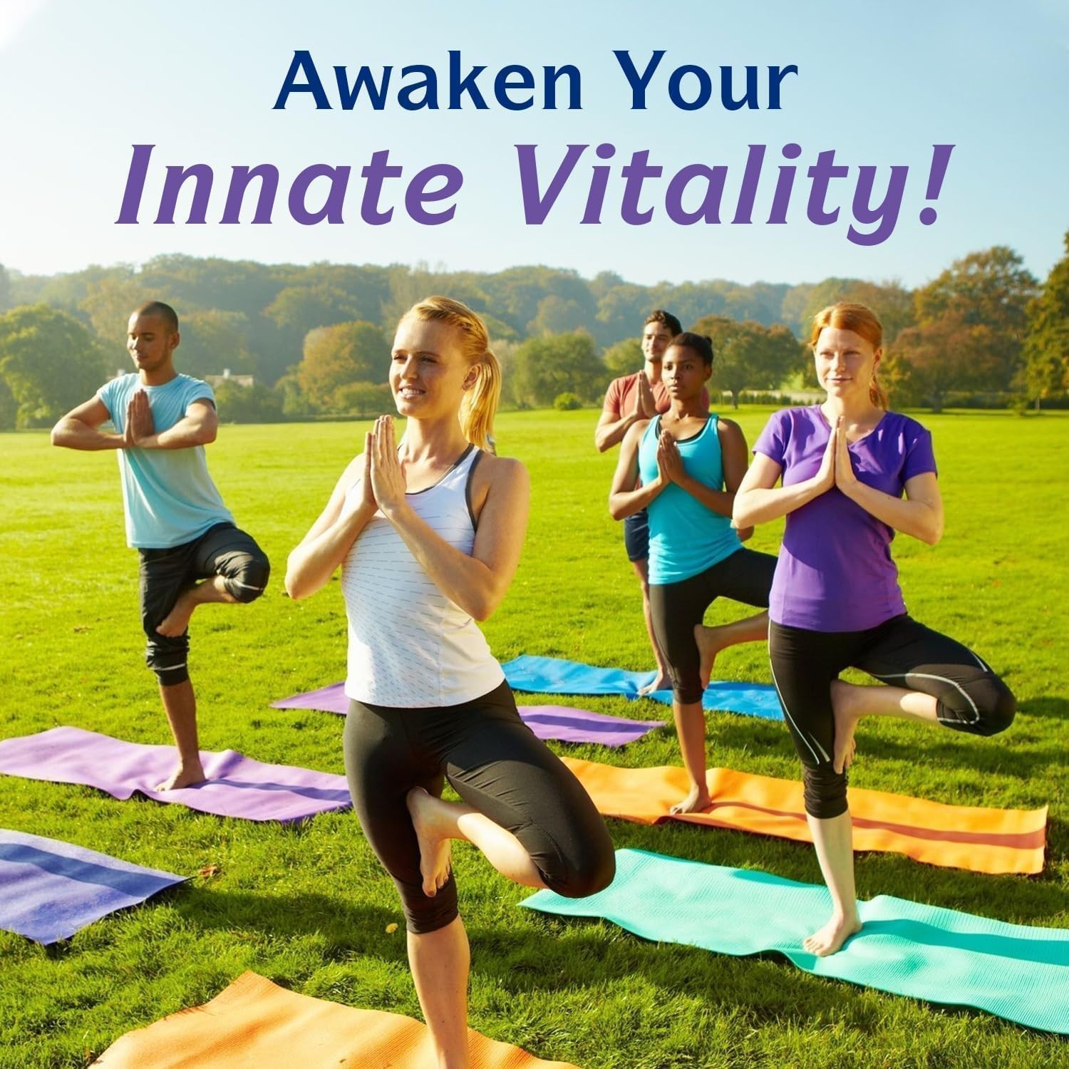 Innate Vitality 12-in-1 Magnesium Complex, 500 mg 120 Count (Pack of 1)..