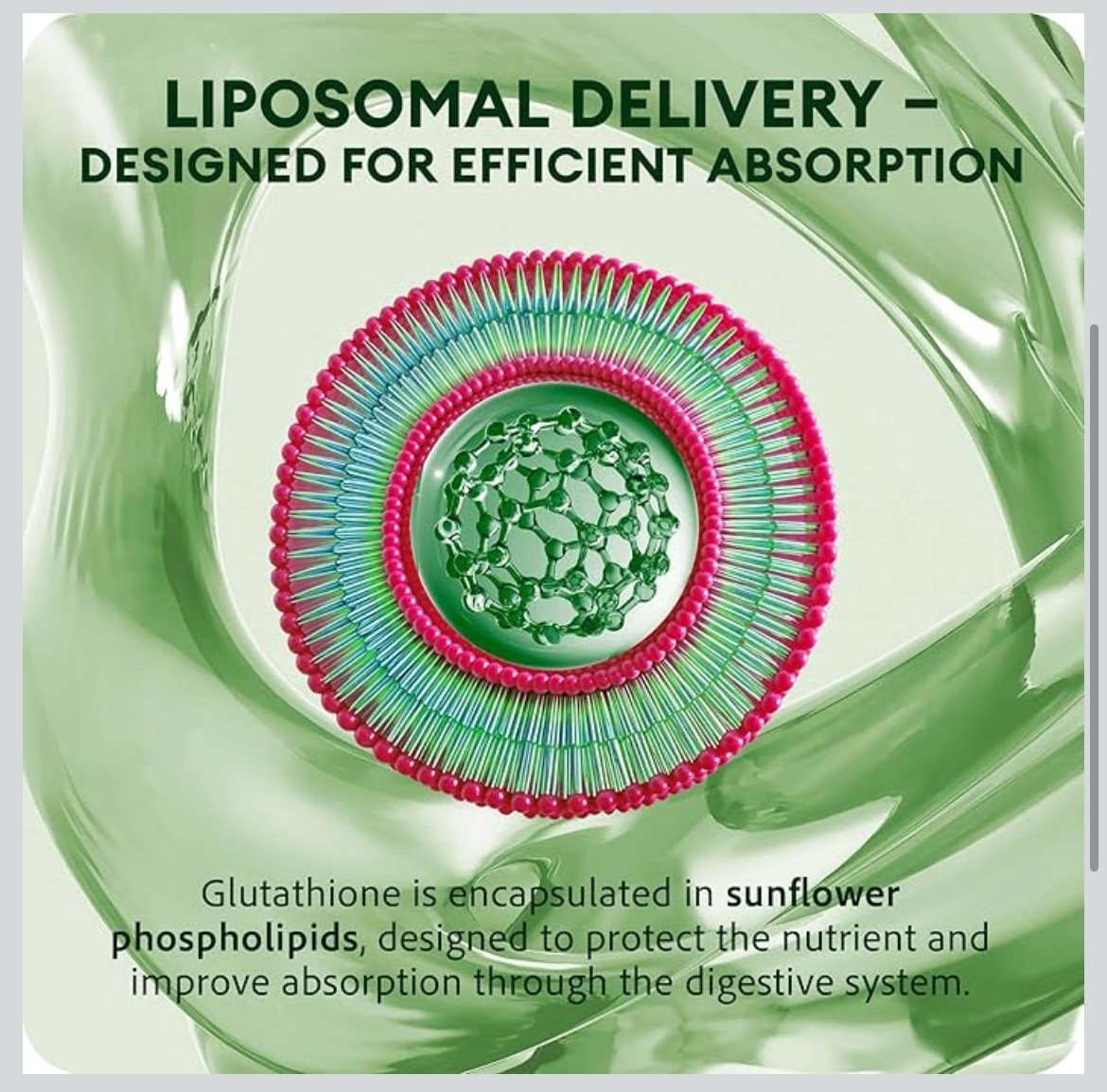 Liposomal Glutathione Liquid: High Absorption Antioxidant, Made in USA 4oz