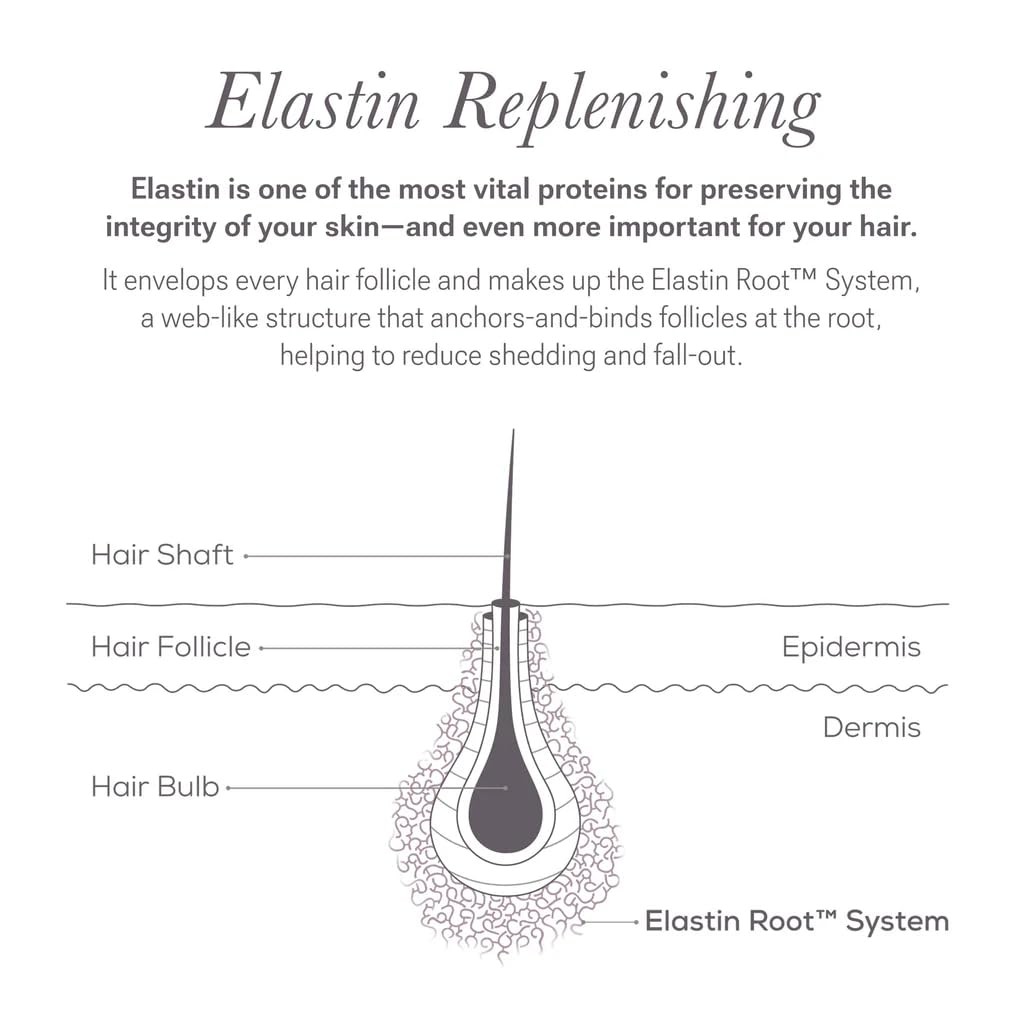 NULASTIN Shape Altering Eyebrow Serum – Brow 0.1 Fl Oz (Pack of 1), Clear