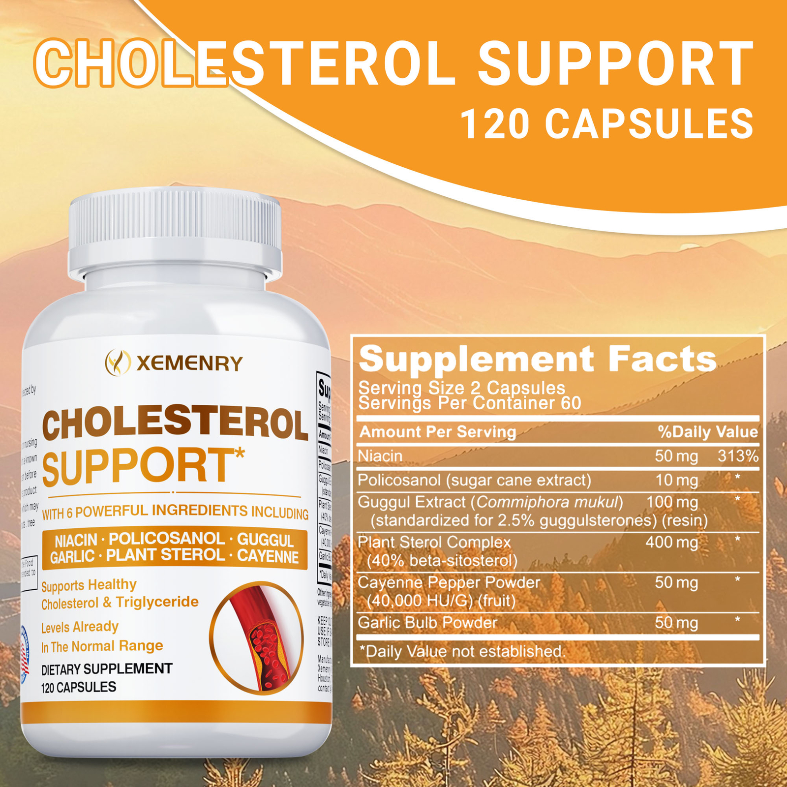 Cholesterol Support 660mg – Heart & Cardiovascular Health – Plant Sterol, Garlic