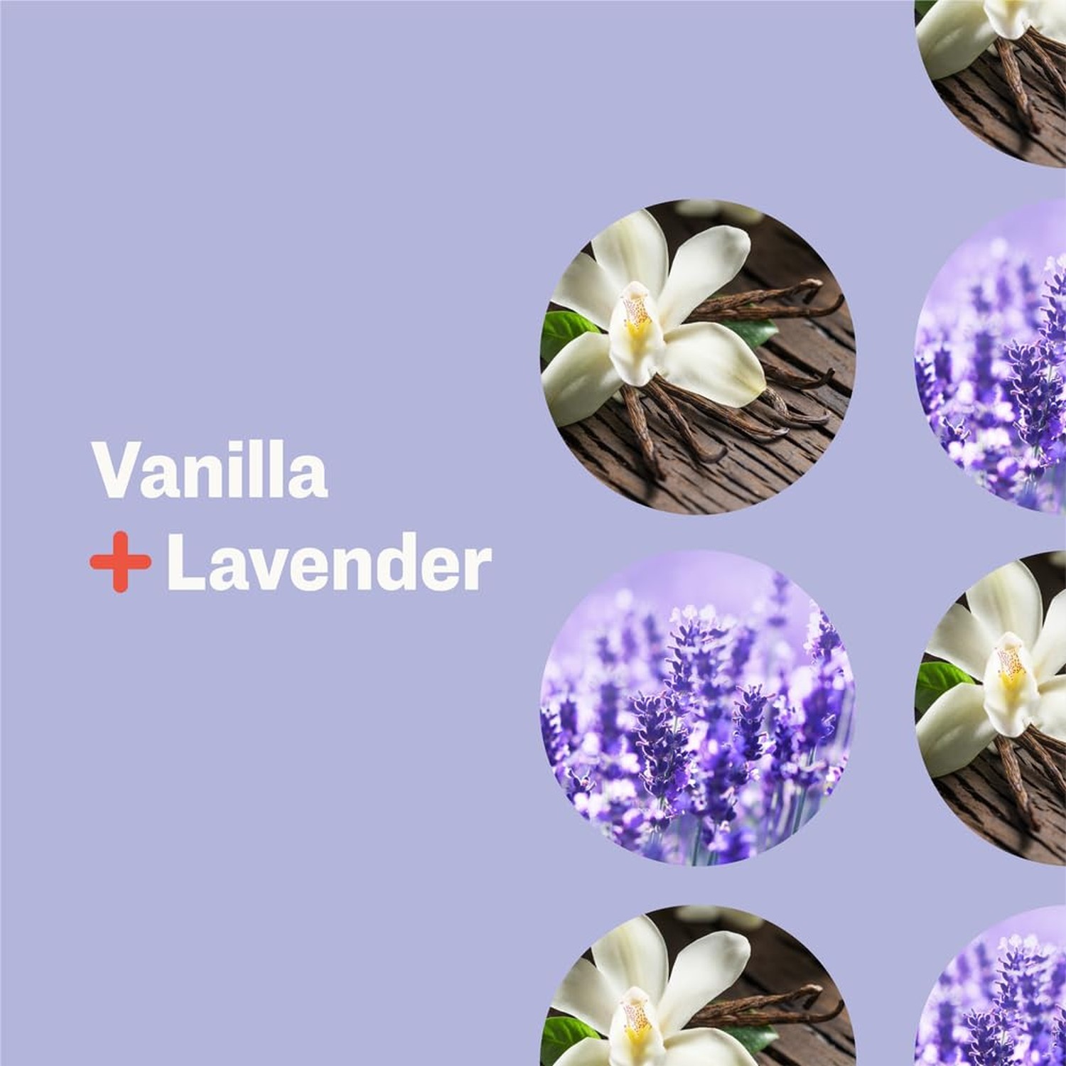 EO, Soap 3 In 1 Vanilla Lavender, 32 Fl Oz Vanilla,Lavender