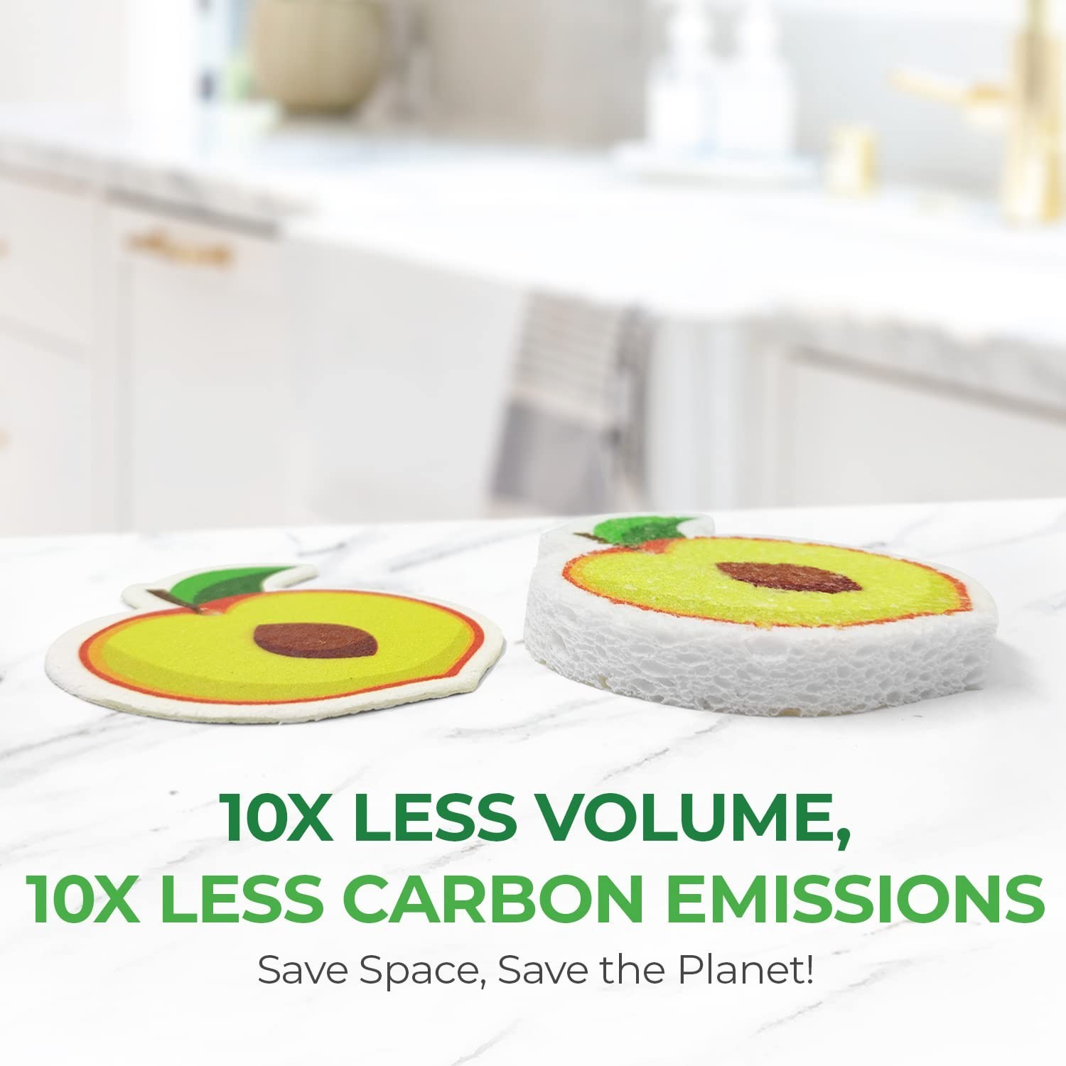 AIRNEX Pack of 12 Biodegradable Cellulose Compressed Sponges with Pack of 12 …