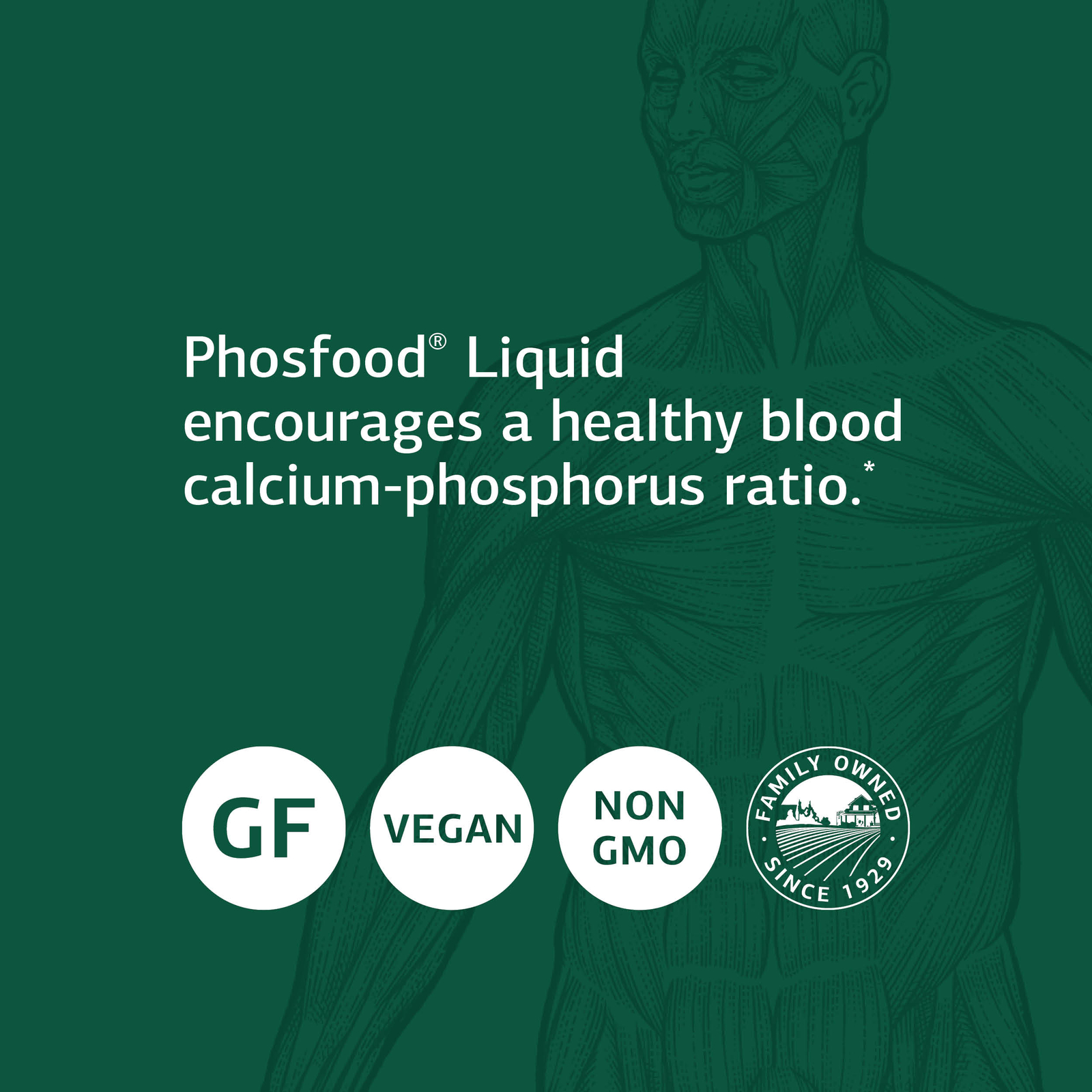 Standard Process Phosfood Liquid Whole Food Bone Health, 2 fl. oz.