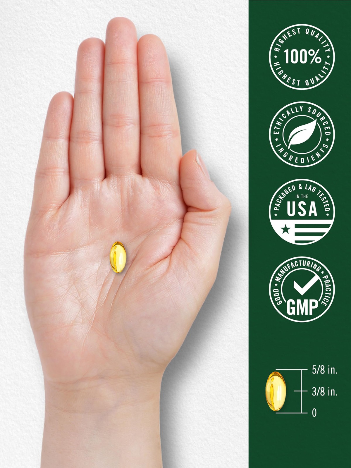 Carlyle Oregano Oil Supplement | 150 Softgel Capsules | 150 Count (Pack of 1)