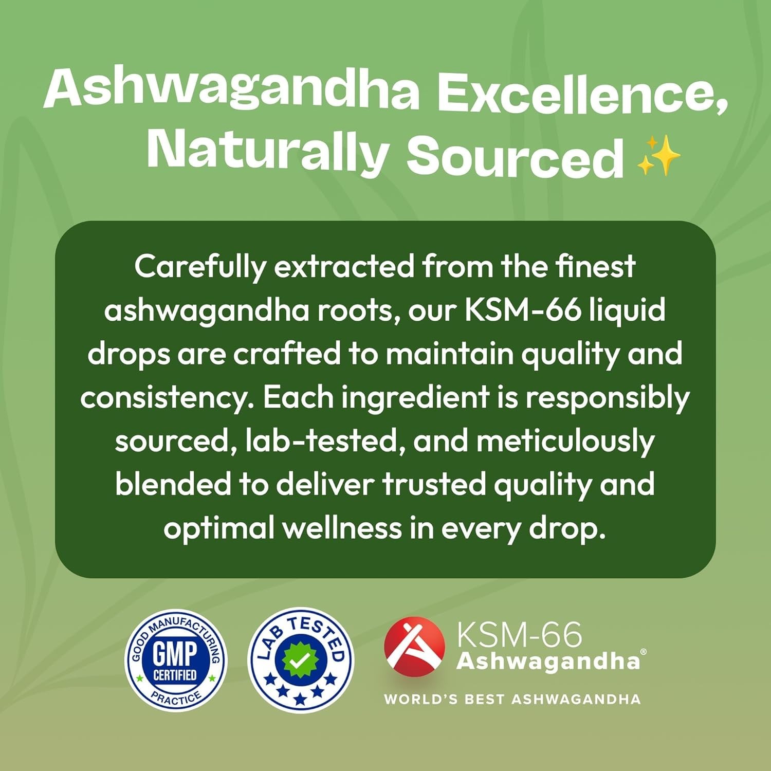 Mixed Berry KSM-66 Ashwagandha Drops – Boost Focus & Energy, Formula, 60ml