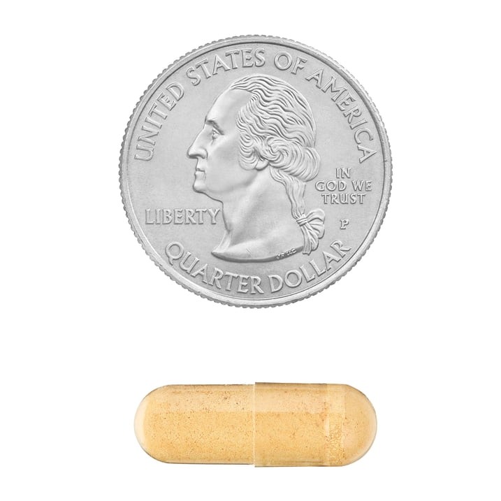 Spring Valley Milk Thistle Extract 175 mg Gelatin Capsules 90 Count