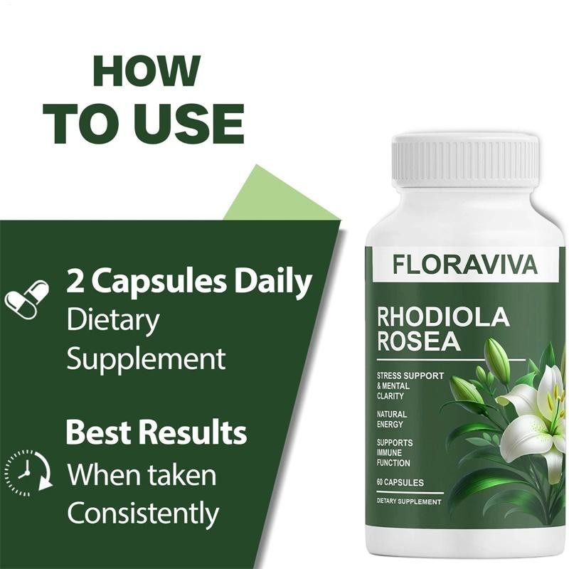 2-Pack Rhodiola Rosea Capsules – Floraviva for Energy, Focus, Mood