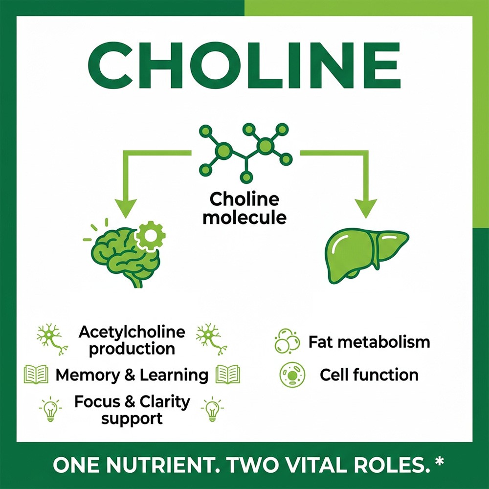 Choline Supplements 500mg Per Serving– Vegan And Non-Gmo – 30/60/120 Capsules