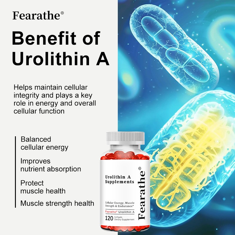 Fearathe Urolithin a Supplement 5000Mg – Muscle Strength-30/60/120 Softgels