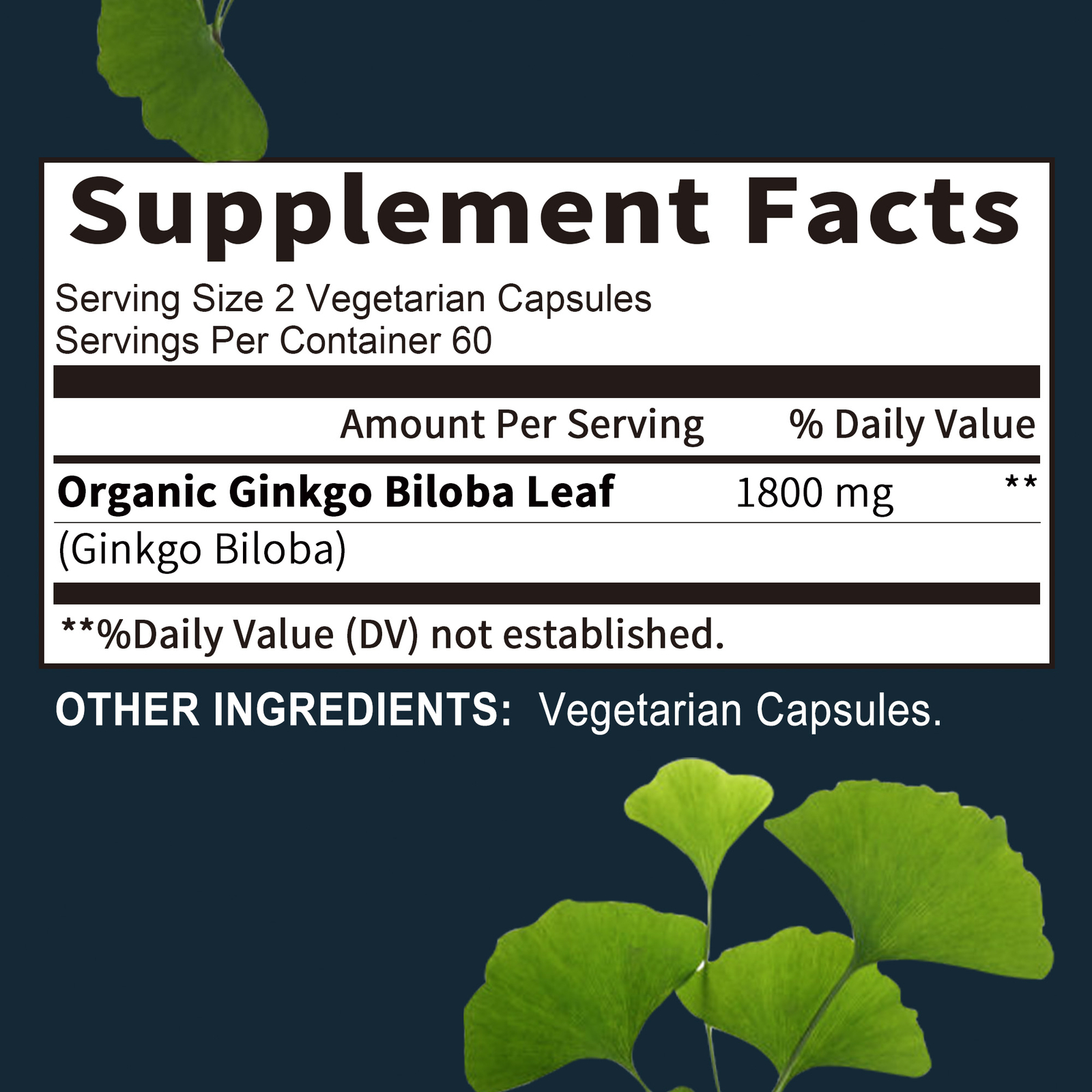 Ginkgo Bilo 1800mg – Healthy Brain, Improve Focus, Memory, and Overall Cognition