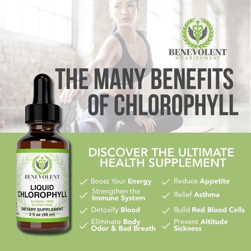 NEW Benevolent Nourishment Liquid Chlorophyll Herbal Supplement 2 oz