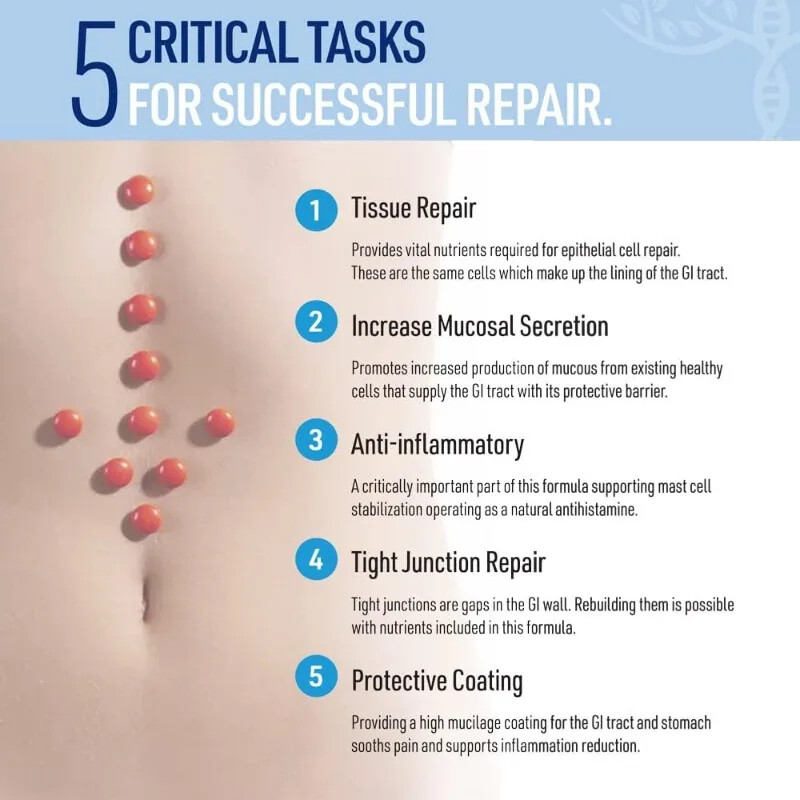 Leaky Gut Glutamine, Quercetin, and Gancao Root 60 Capsules