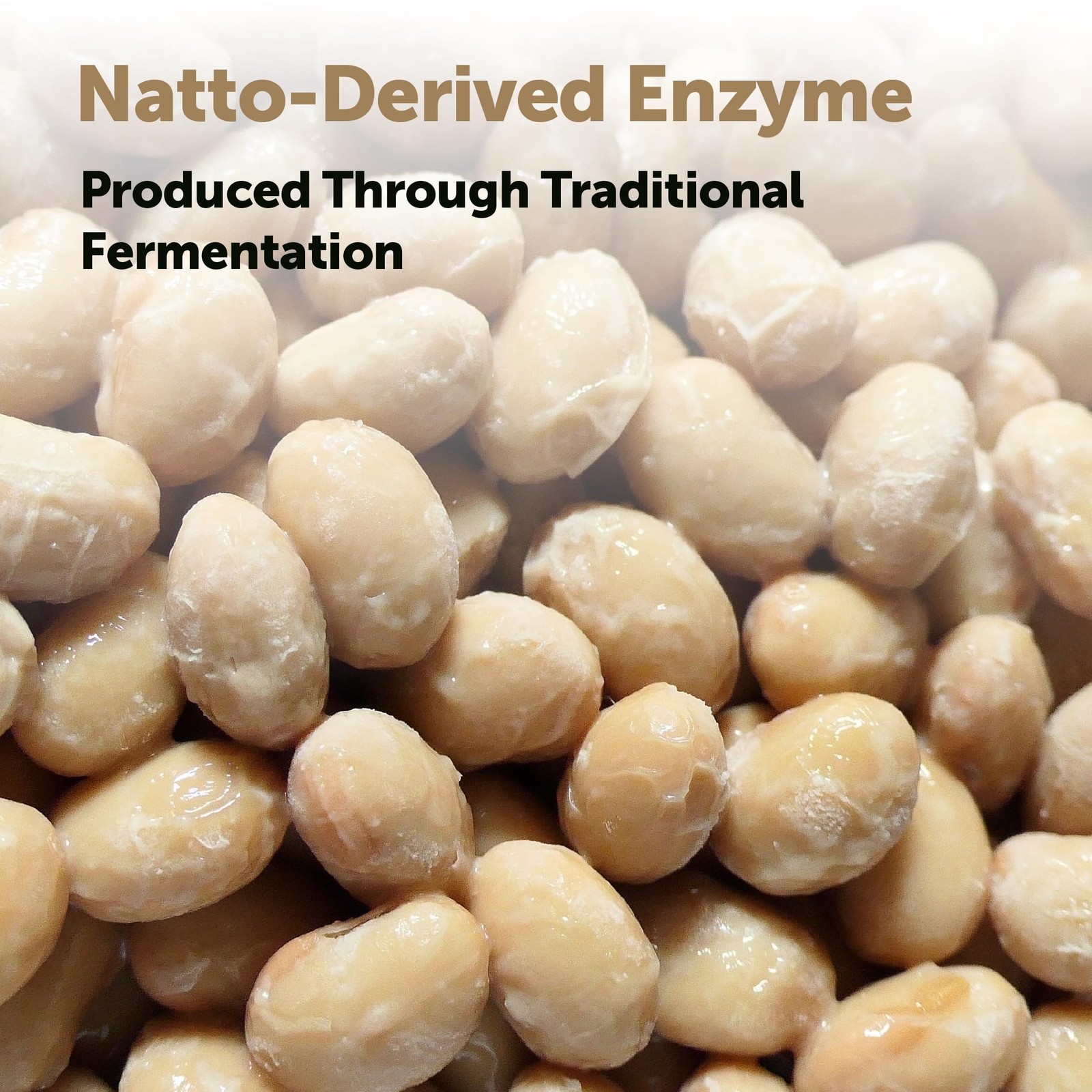 Micro Ingredients Nattokinase 10,000 FU Per Serving 240 Count (Pack of 1)