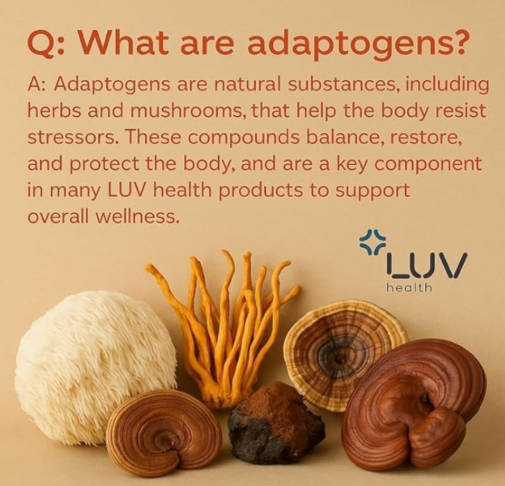 (5 PACK) LUV Health Flow Drops – Adaptogen Mushroom Blend Drops [USA]