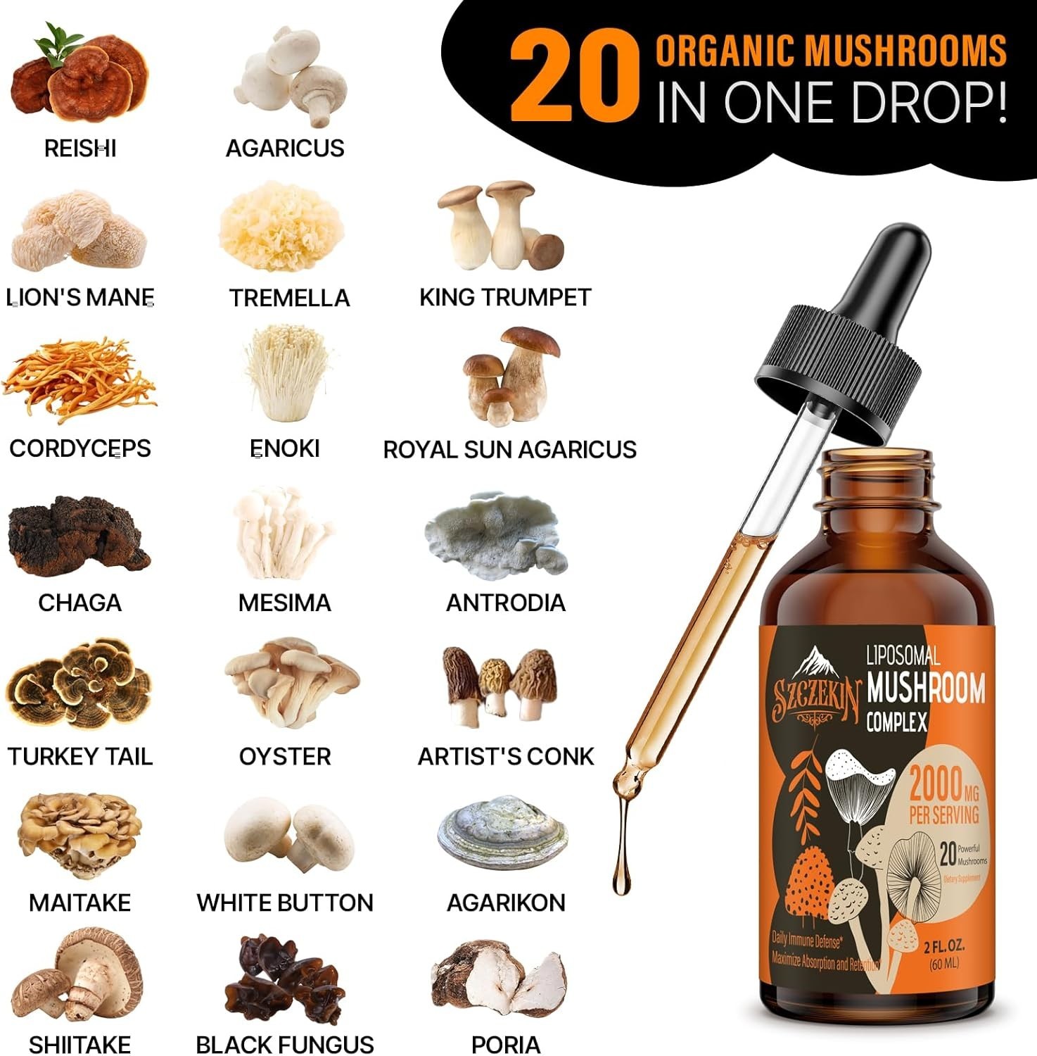 2000 MG Liposomal Mushroom Drops – 20 Organic Extracts for Immunity & Focus