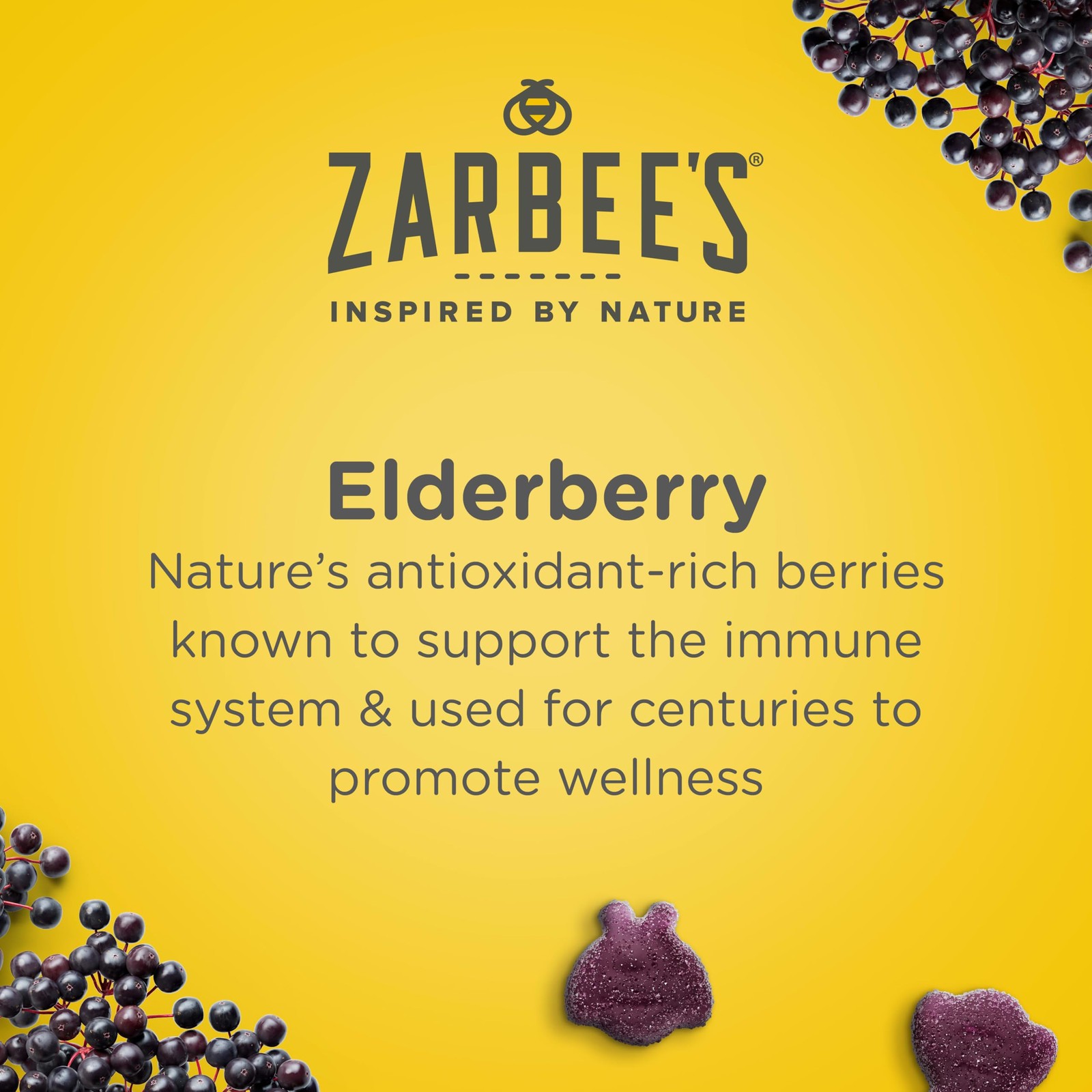 Zarbee’s Daily Immune Support* Gummies with Real Elderberry, Vitamins A, 60ct