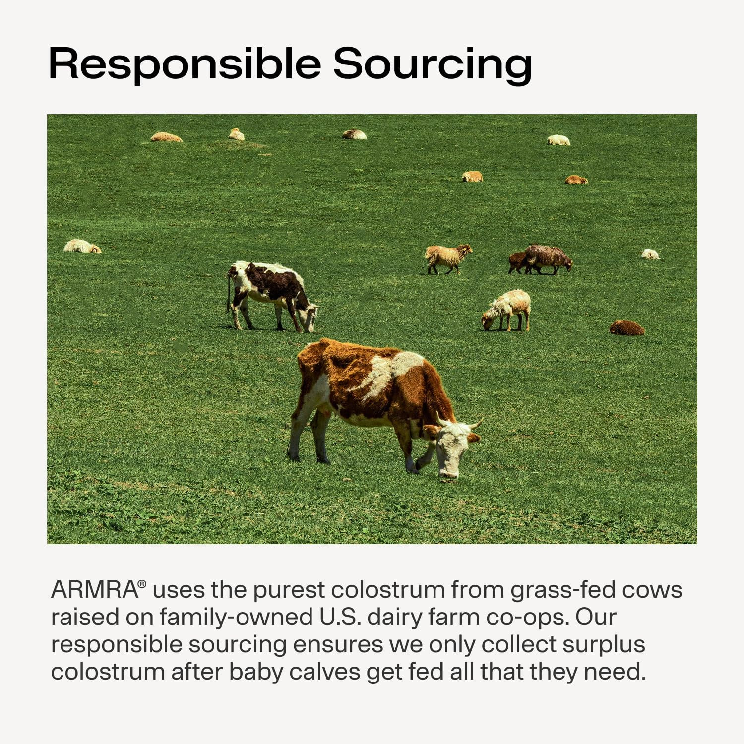 ARMRA Colostrum™ Powder | Blood Orange | Gut Health & Bloating | Skin & Hair | I