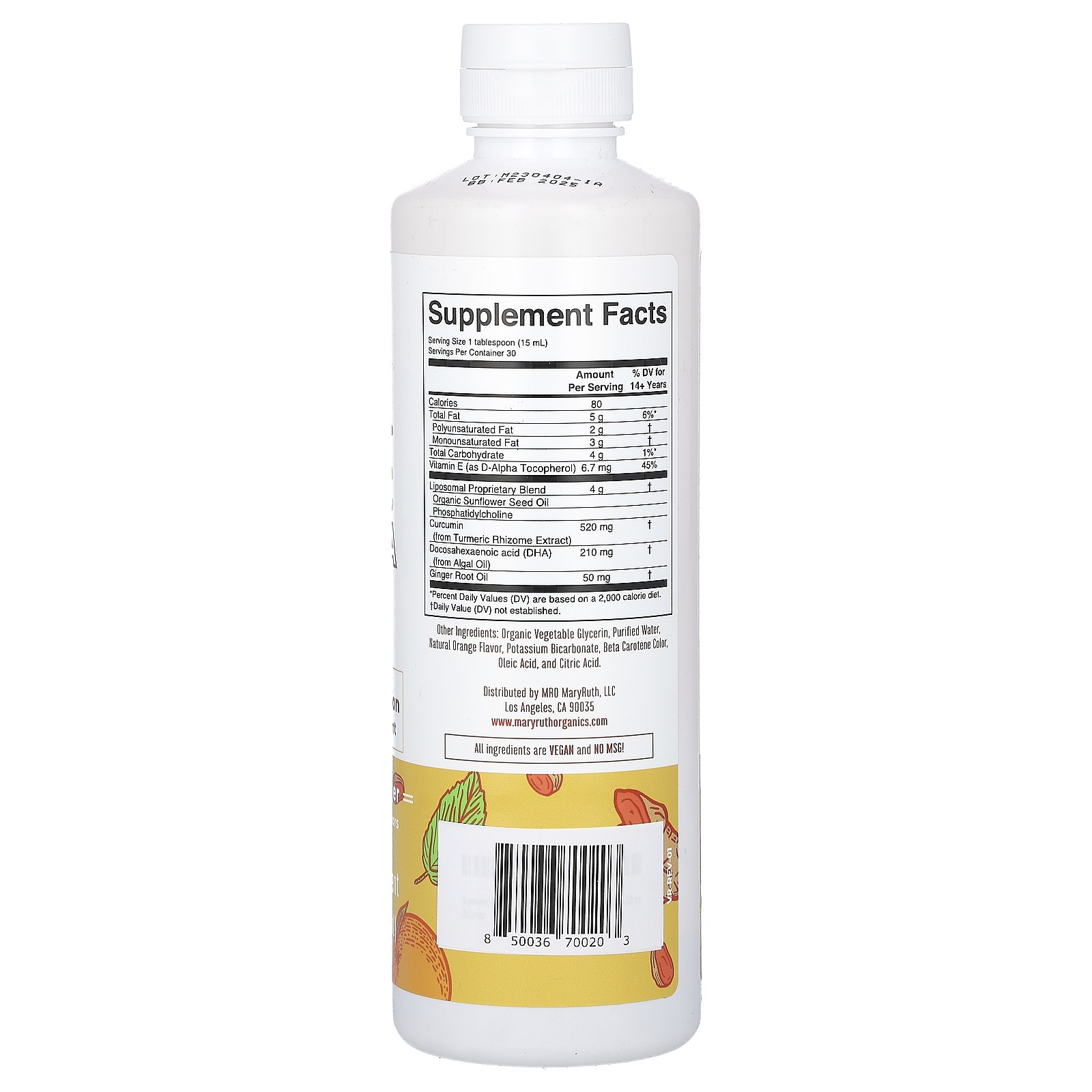 Turmeric & DHA Liposomal Liquid Supplement, Orange Ginger, 15.22 fl oz (450 ml)