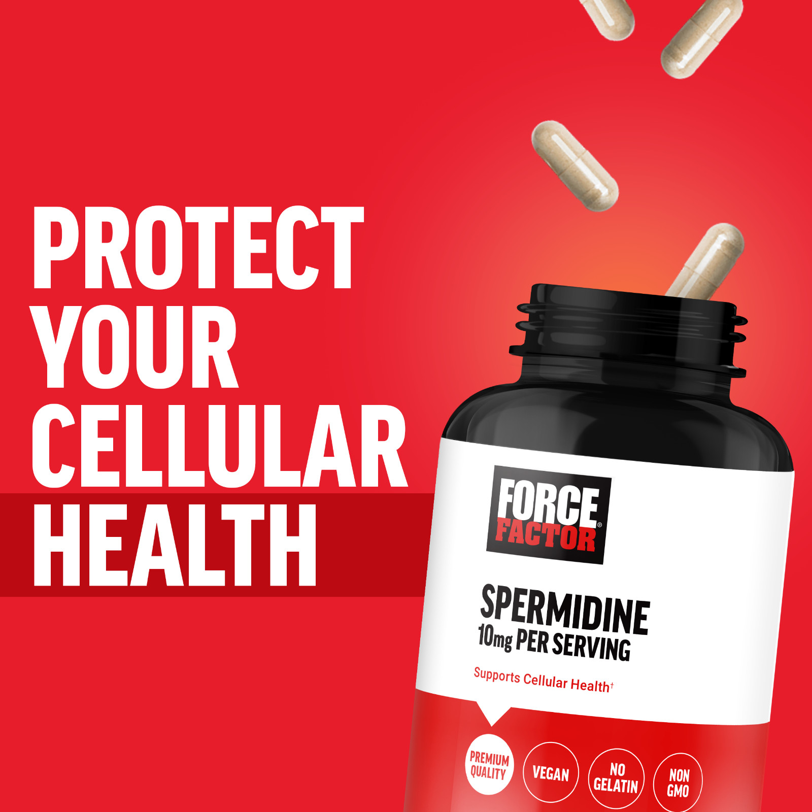 FORCE FACTOR Spermidine Supplement for Longevity & Cellular Health